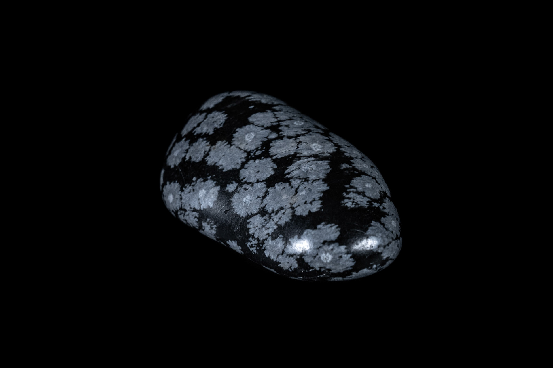 Snowflake Obsidian Stone on Black