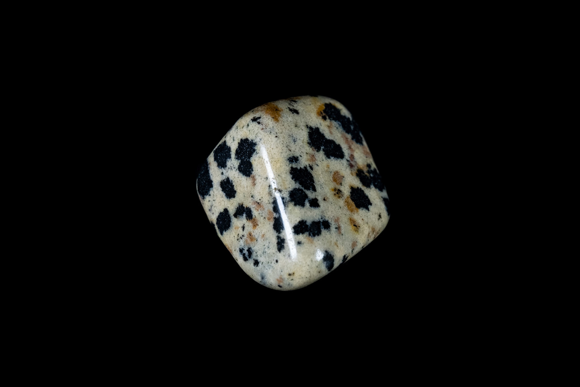 Dotted Hornblende Mineral on Black