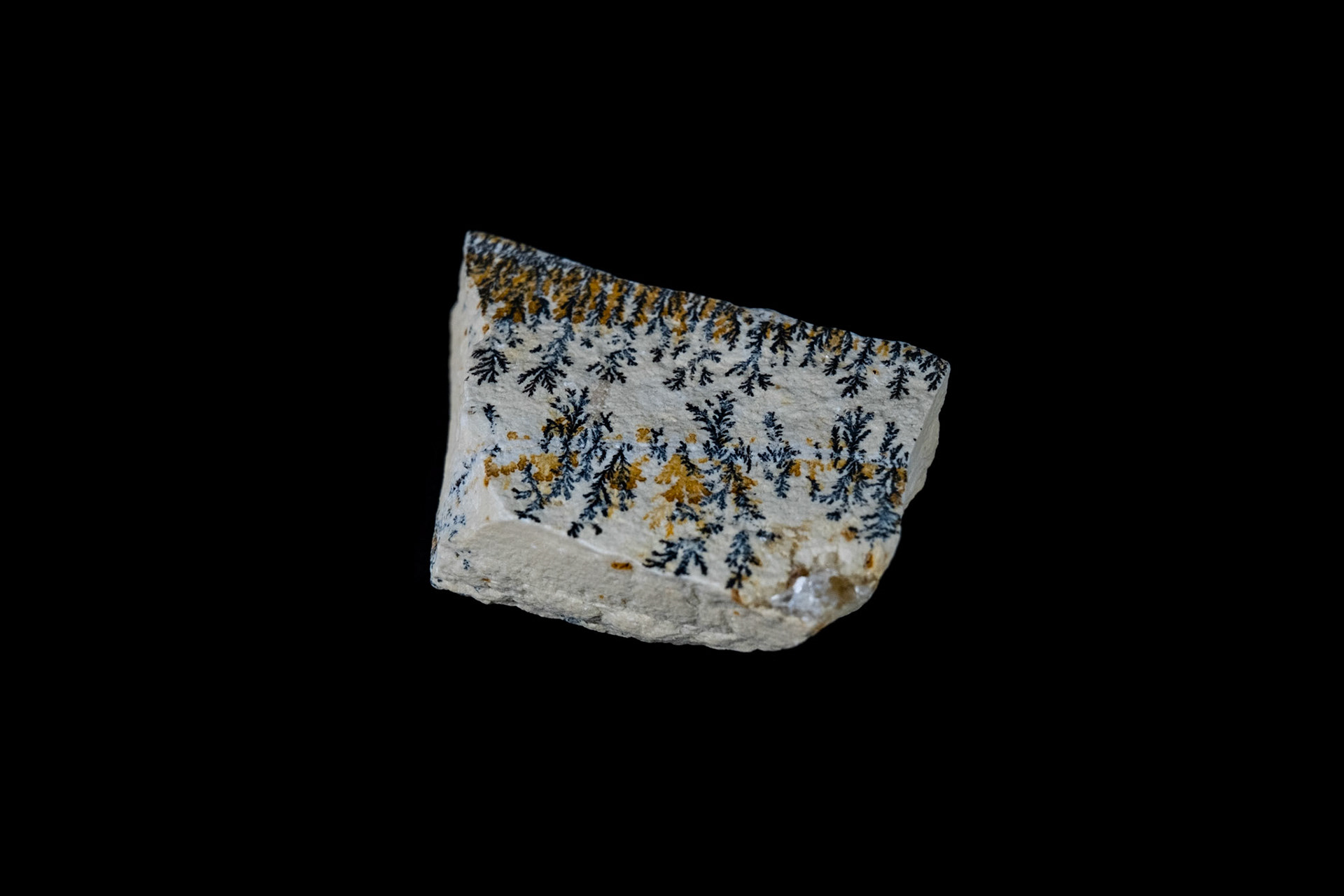 Magnesium Dendrites Limestone on Black