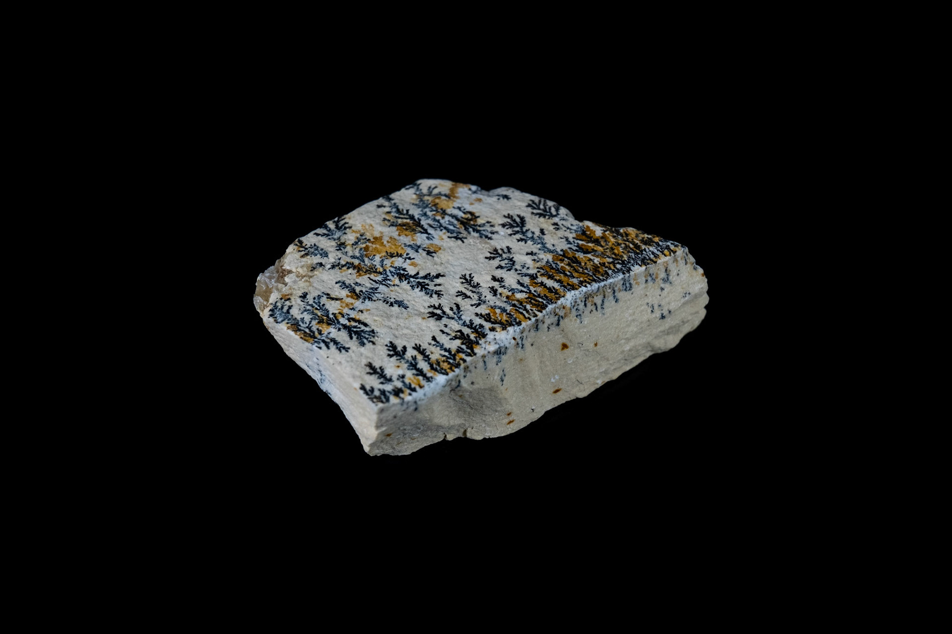 Magnesium Dendrites Limestone on Black