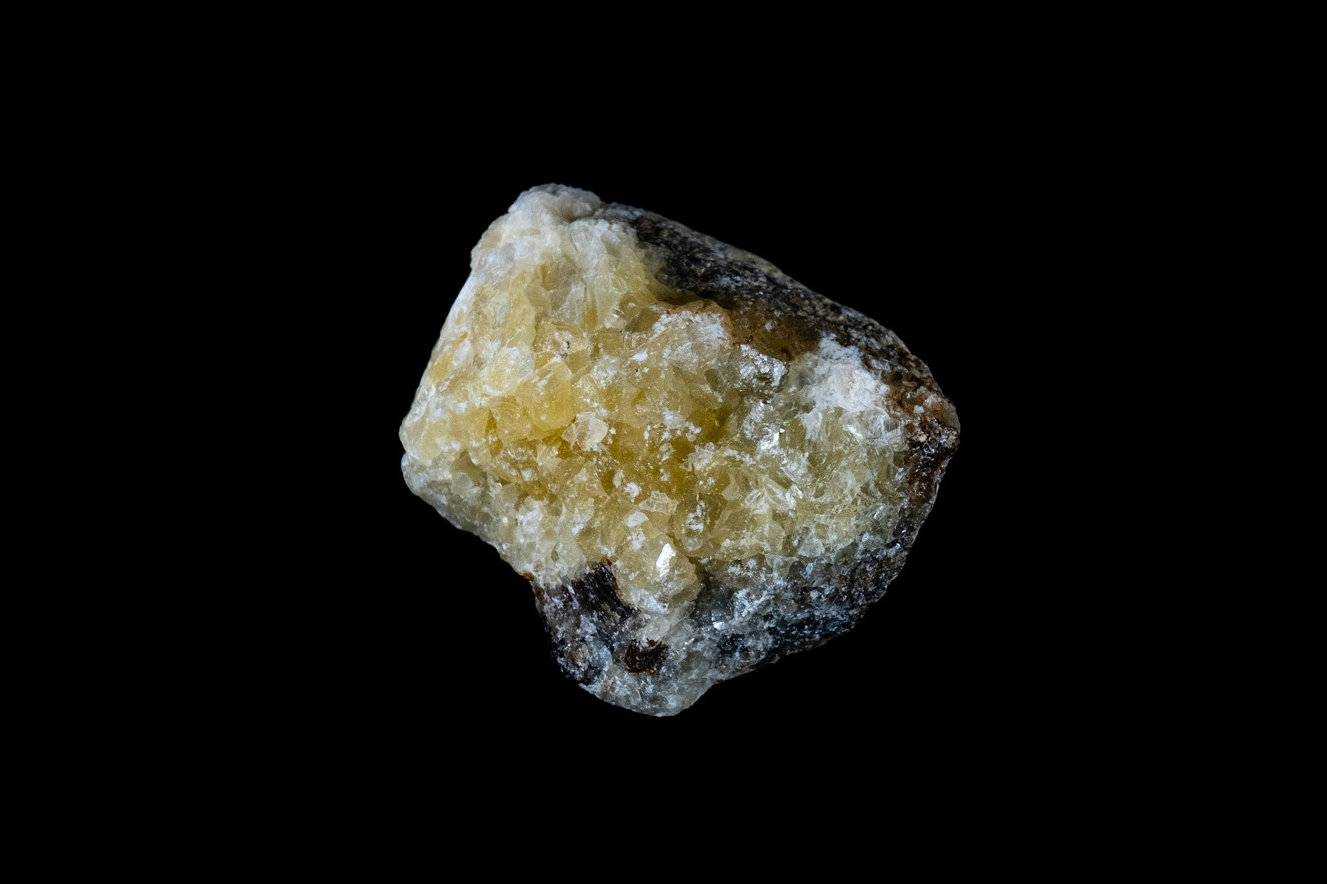 Septarian Nodule Rock on Black