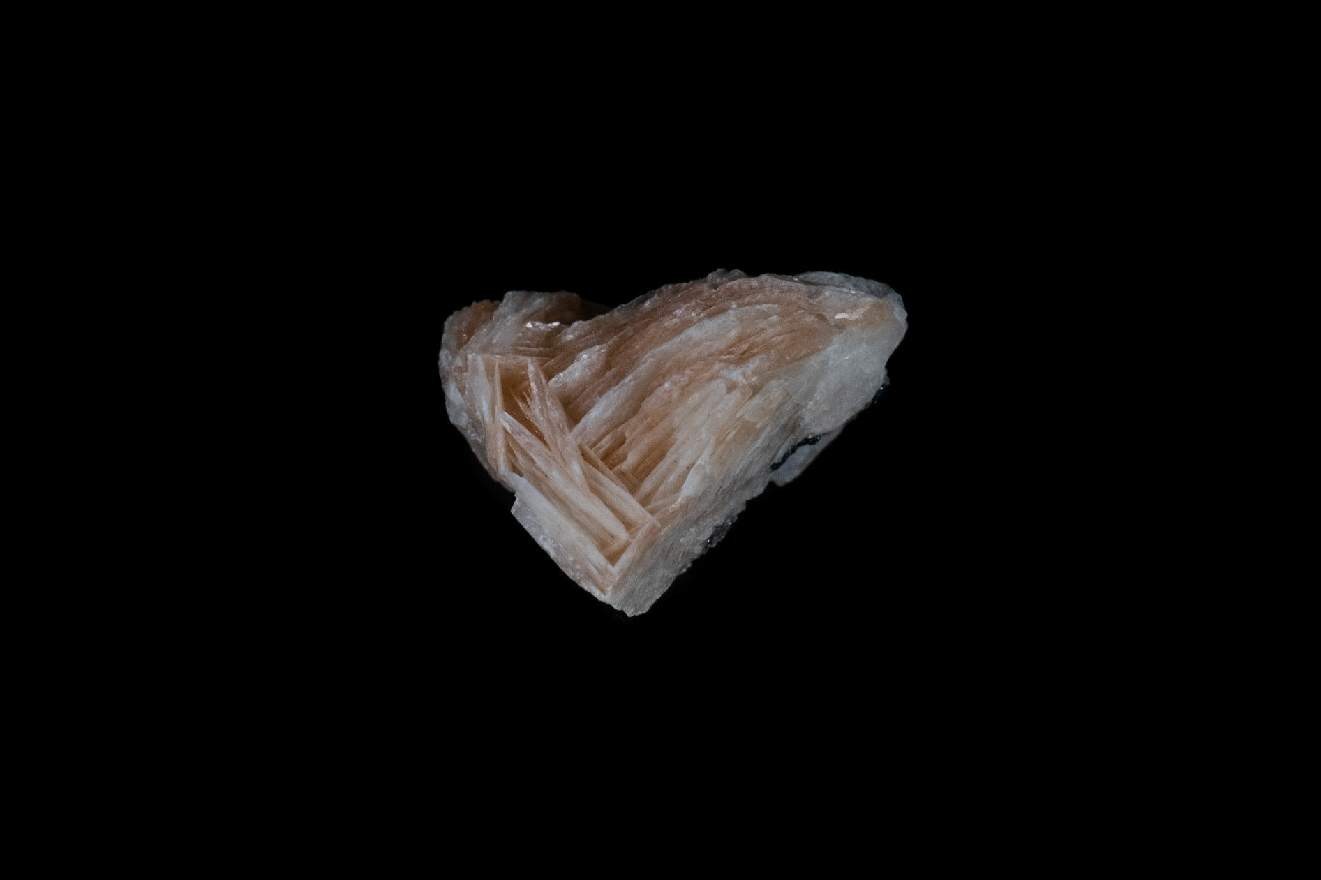 Pink Baryte Mineral on Black