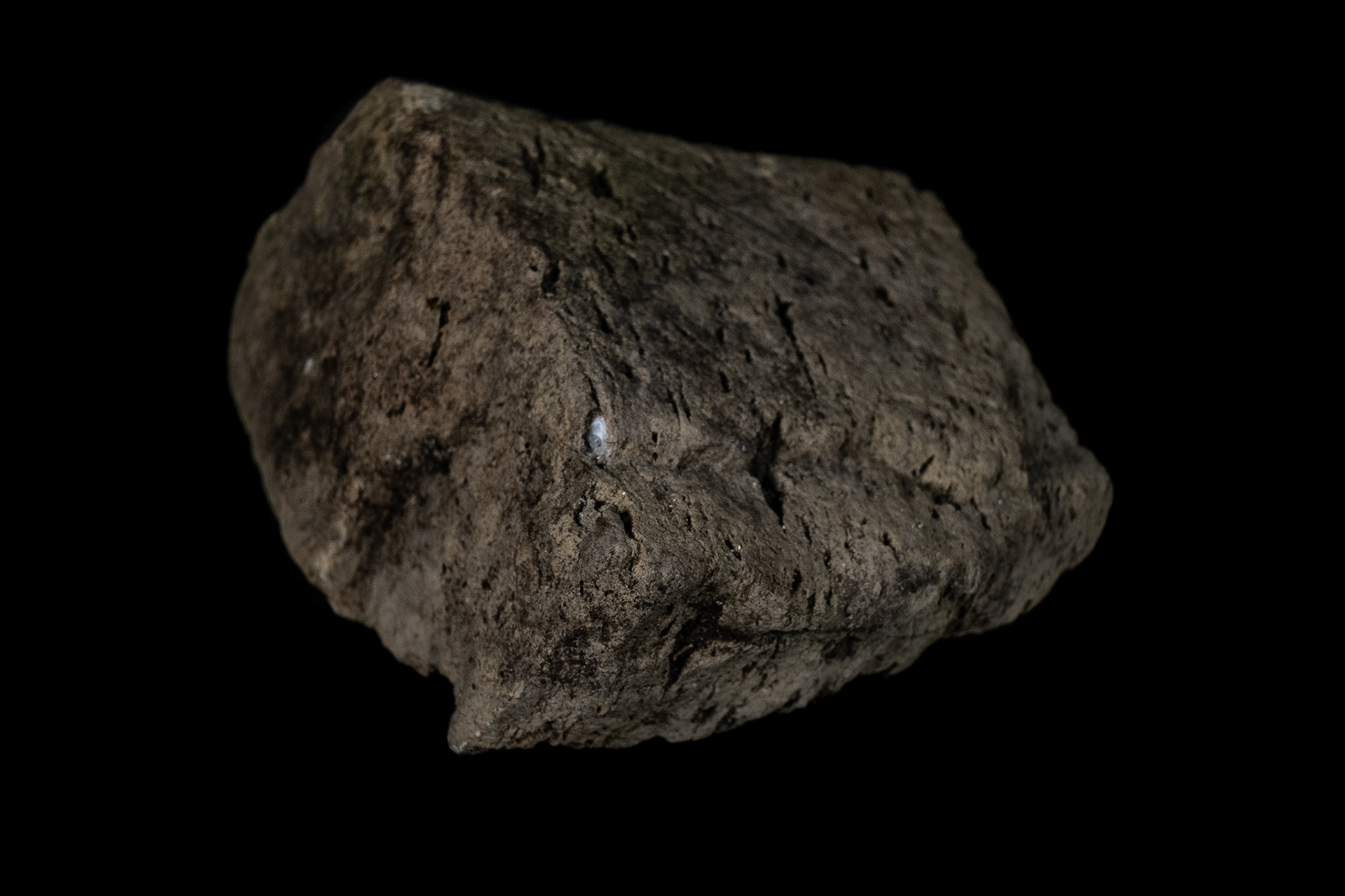 Volcanic Tuff Rock on Black