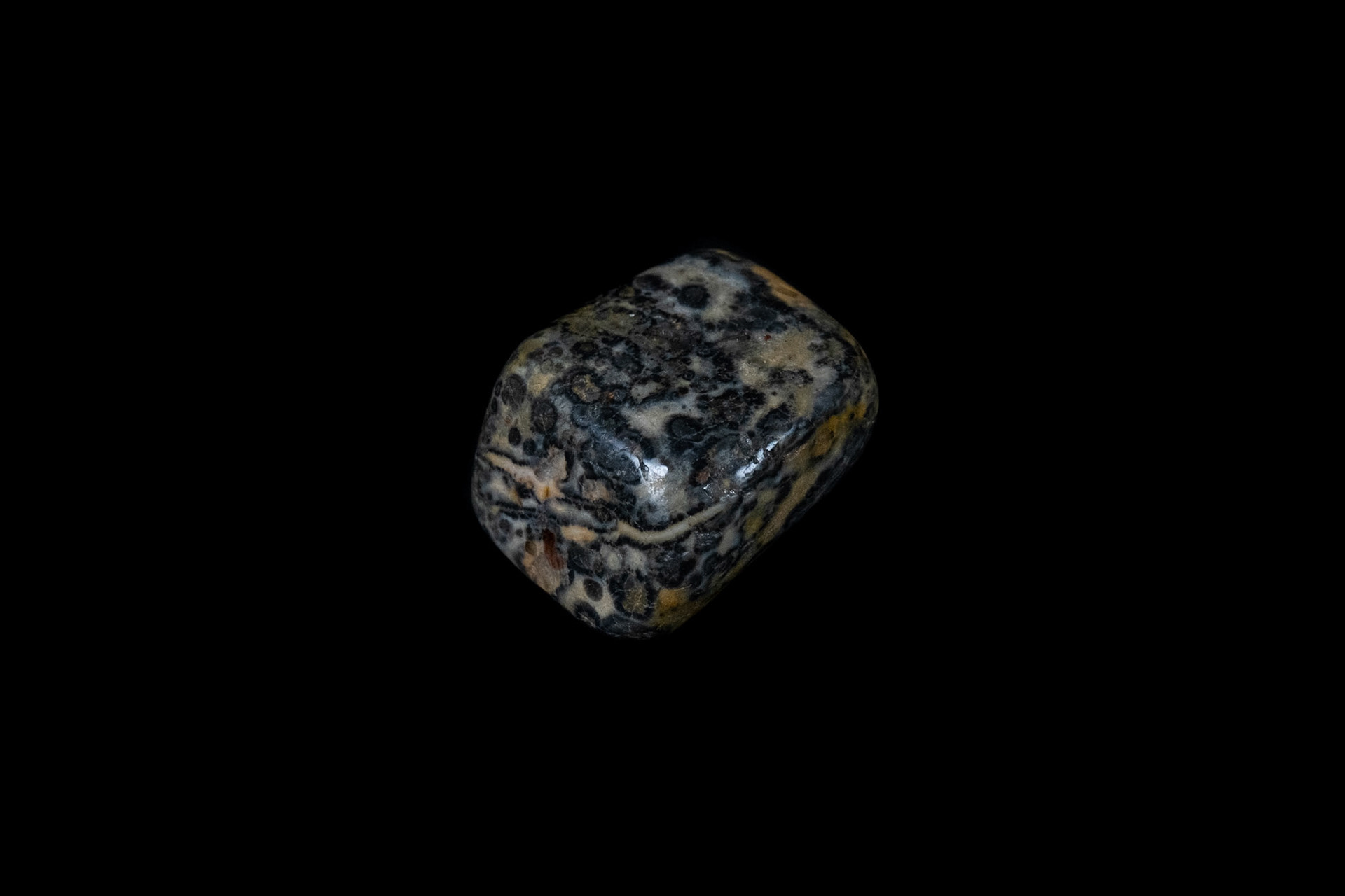 Leopard Jasper Mineral on Black