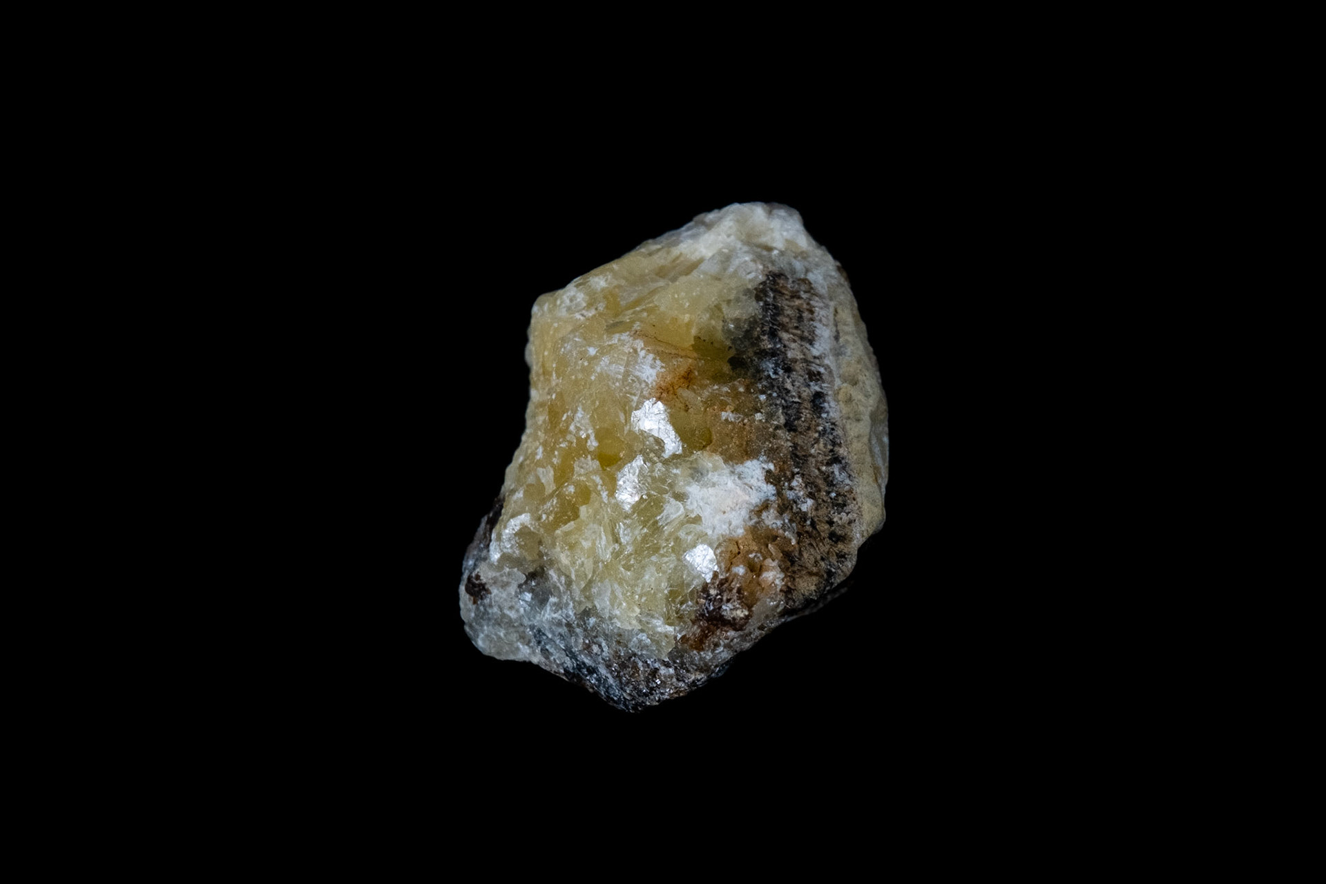 Septarian Nodule Rock on Black