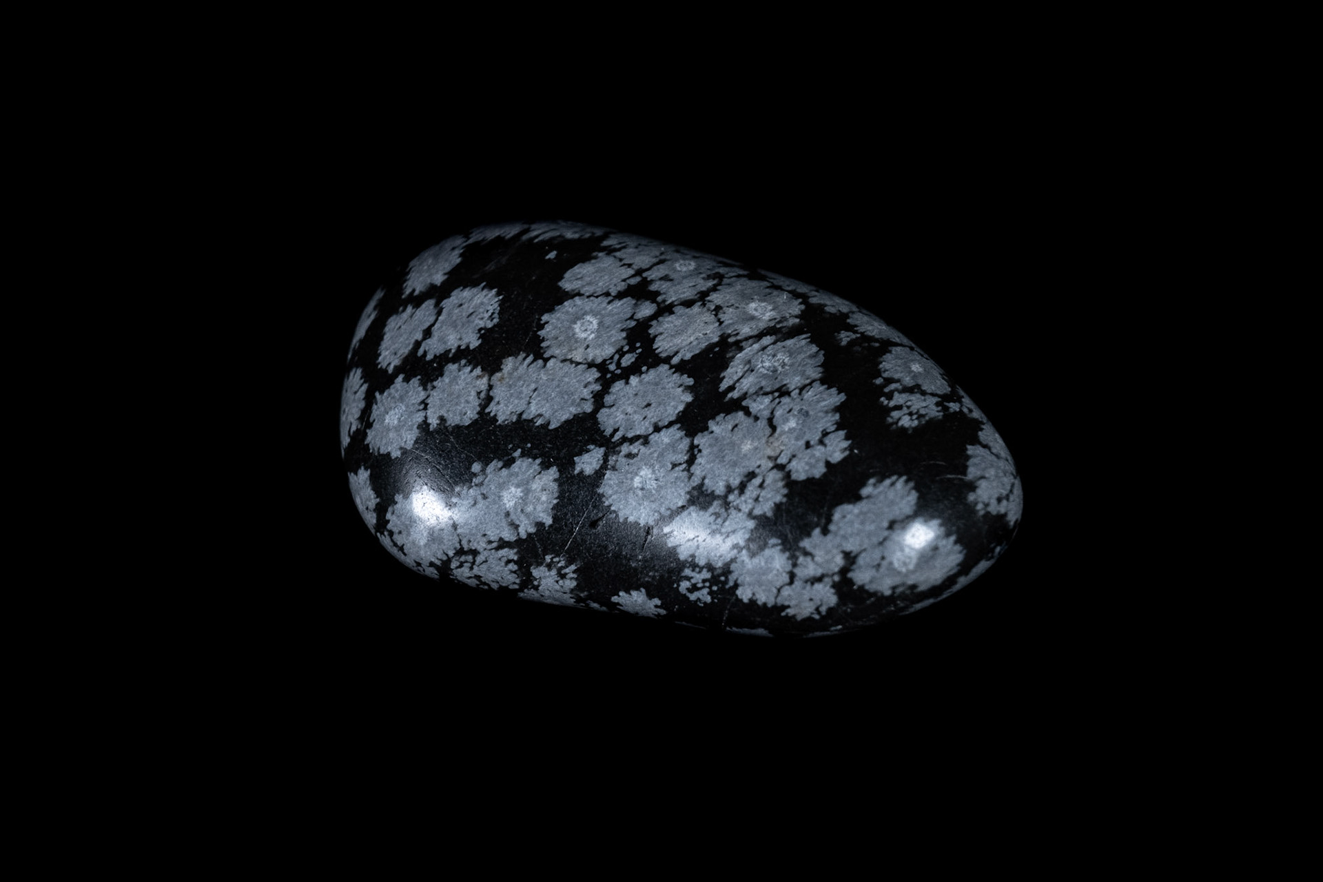 Snowflake Obsidian Stone on Black