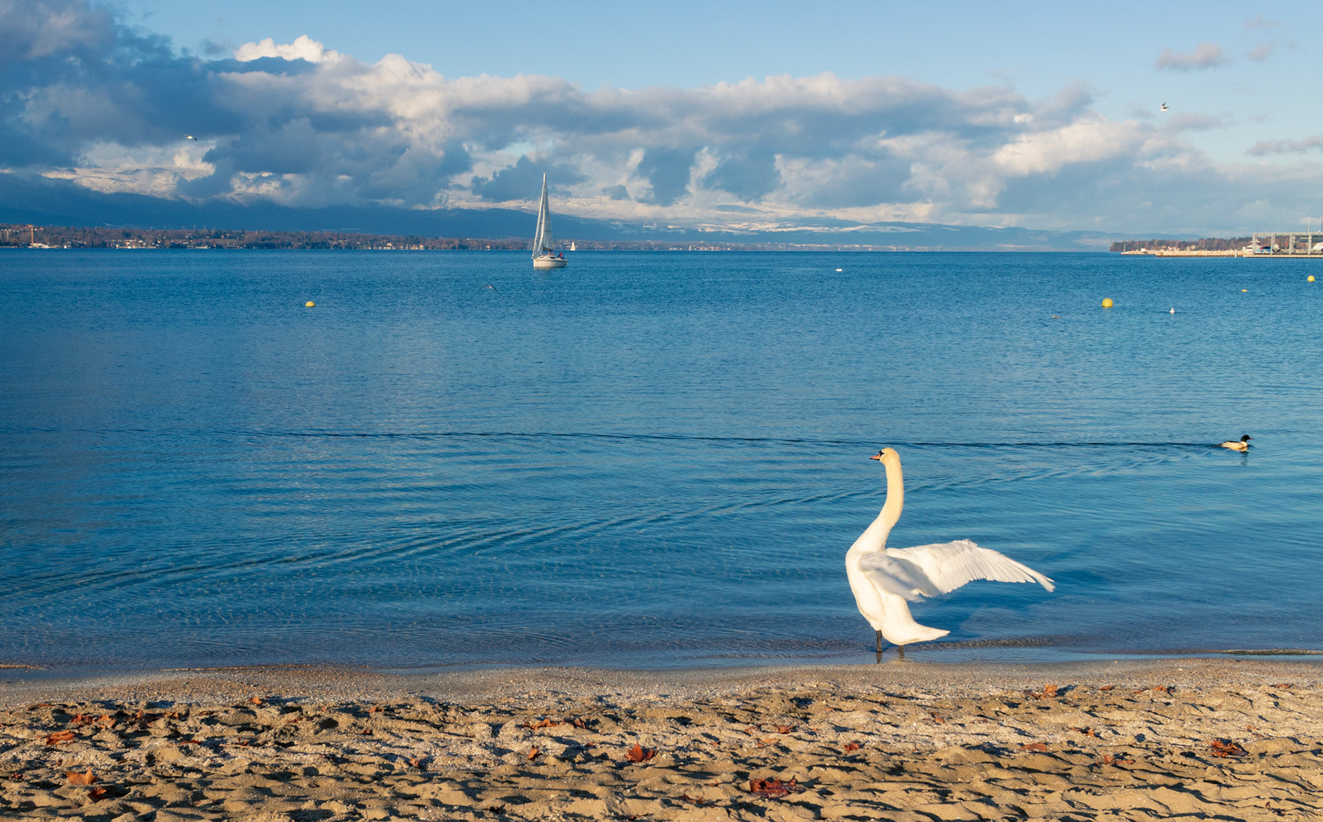 Geneva - Switzerland