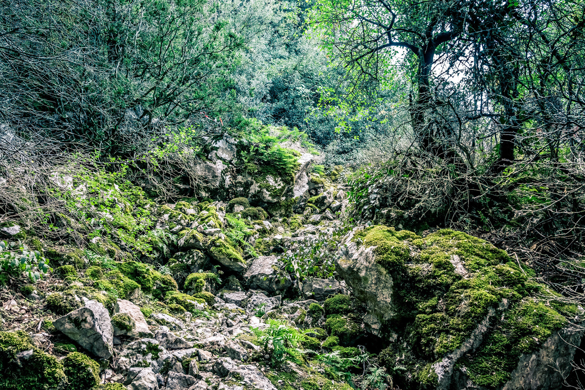 Duilhac-sous-Peyrepertuse - France