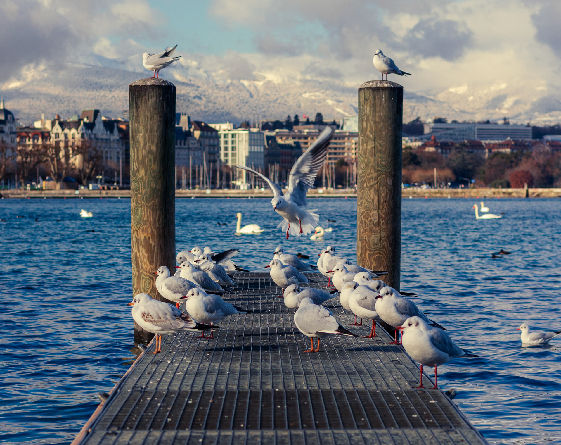 Geneva - Switzerland