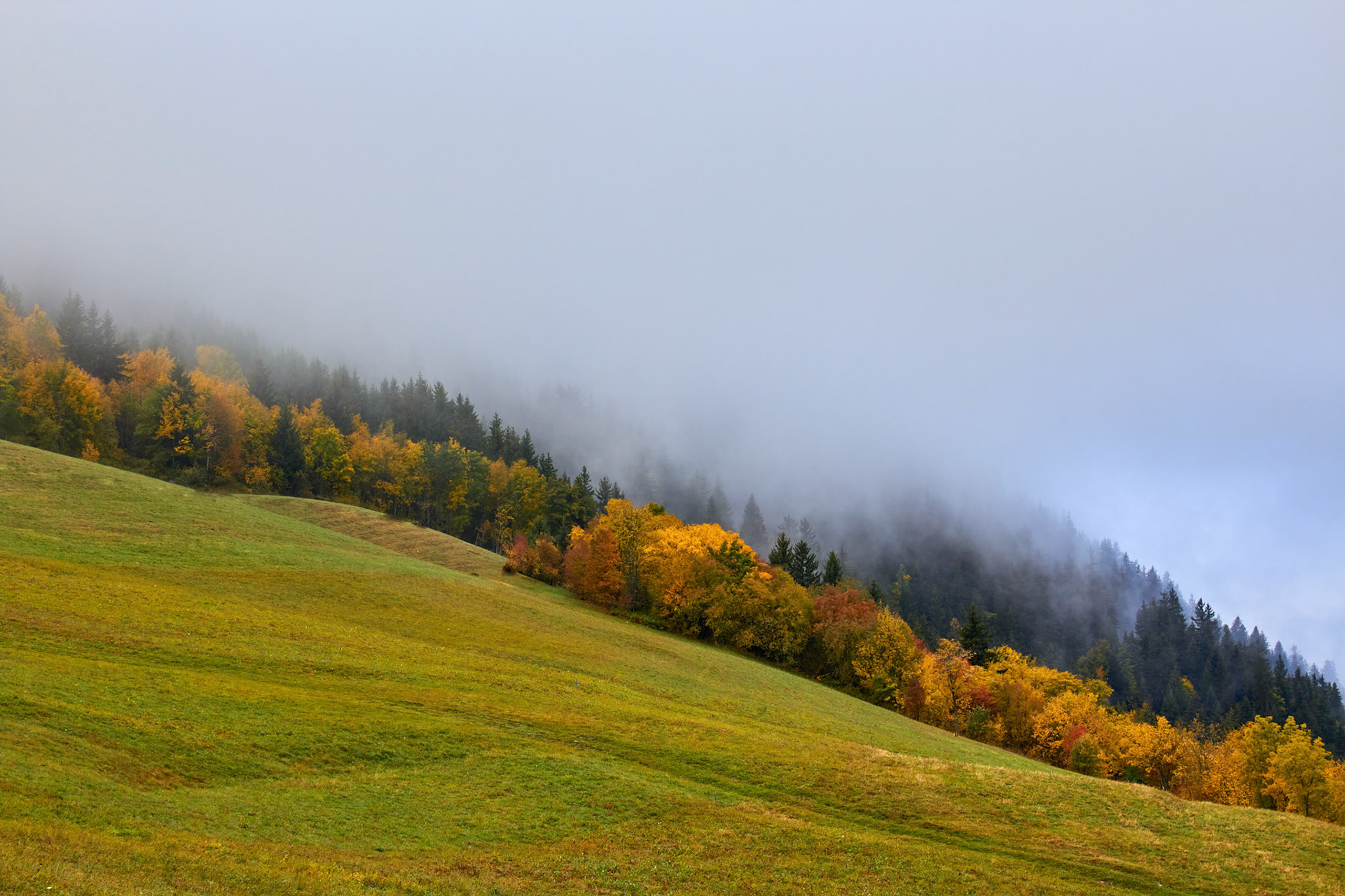 Albiez Montond - France