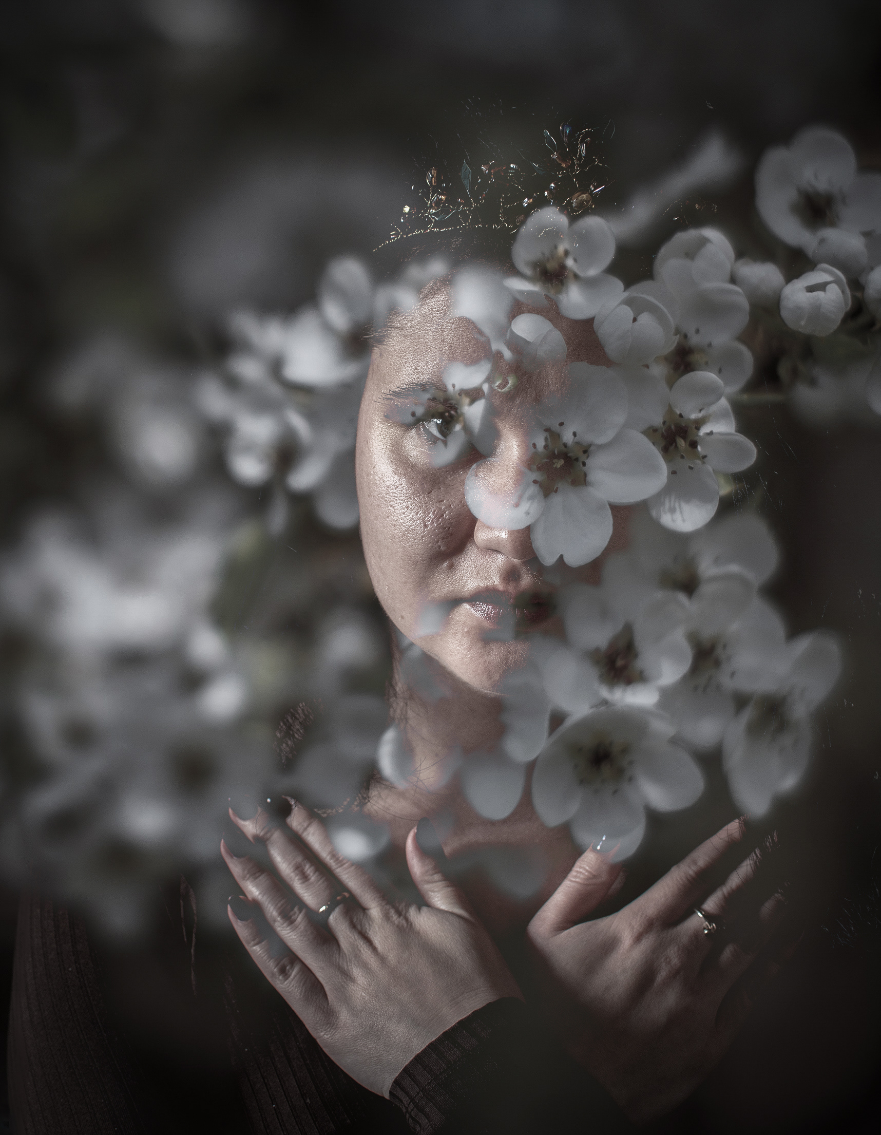 Day 11 - Dark forest Faery