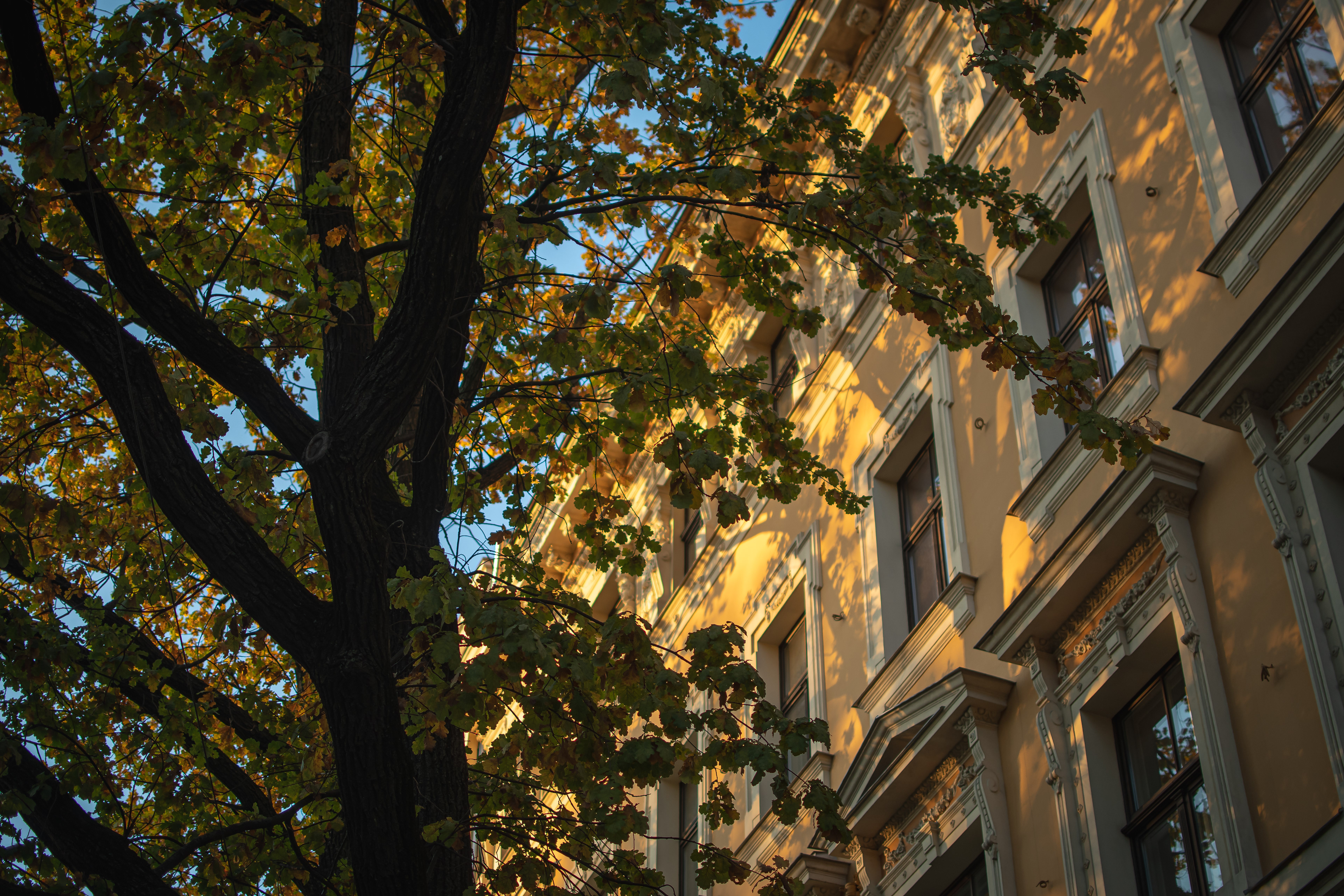 Day 4 - Riga in autumn sun