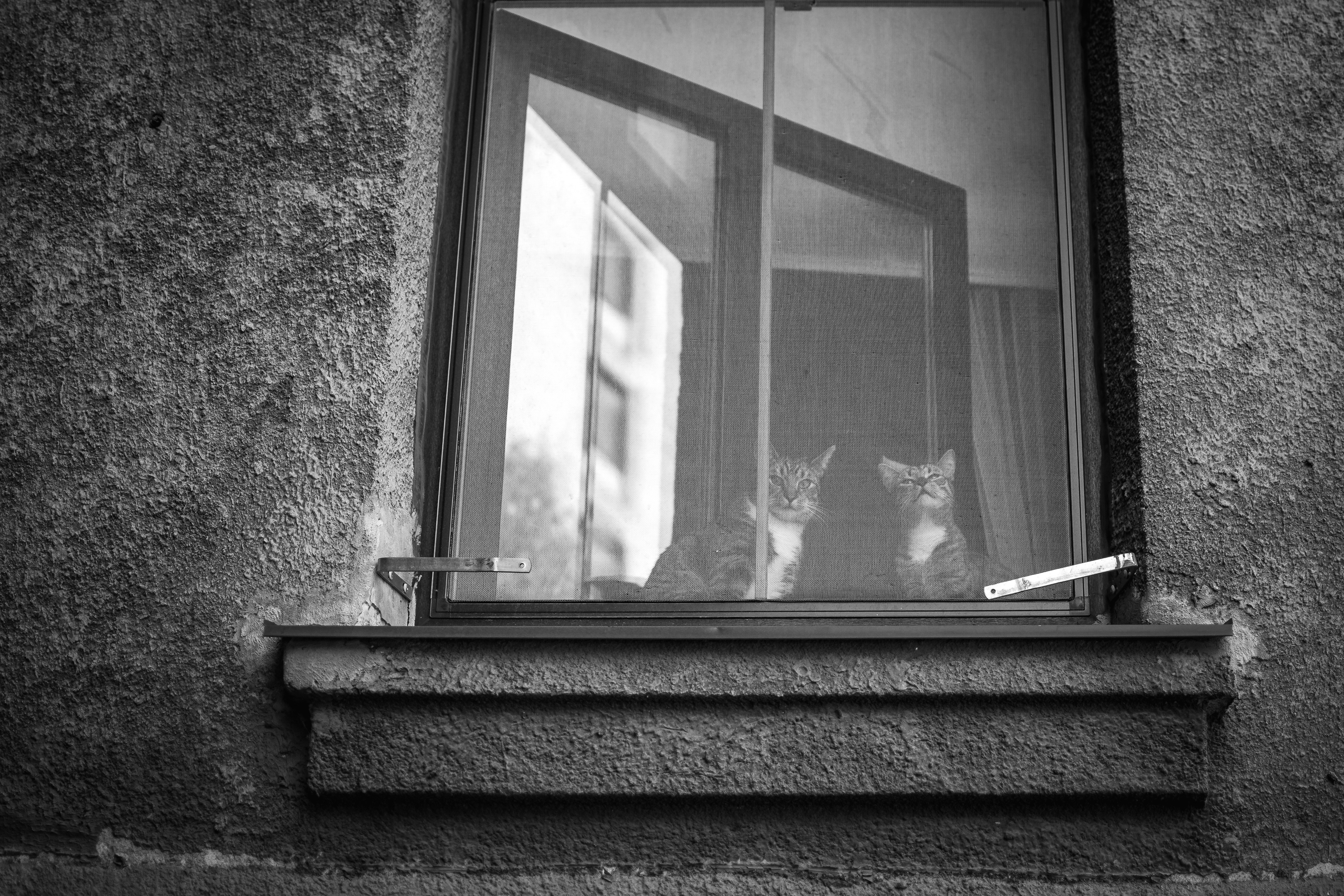 Day 9 - They are watching us