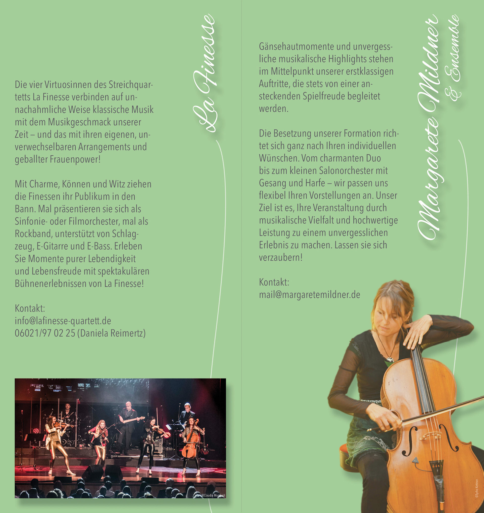 Middle Panel and Inside Flap