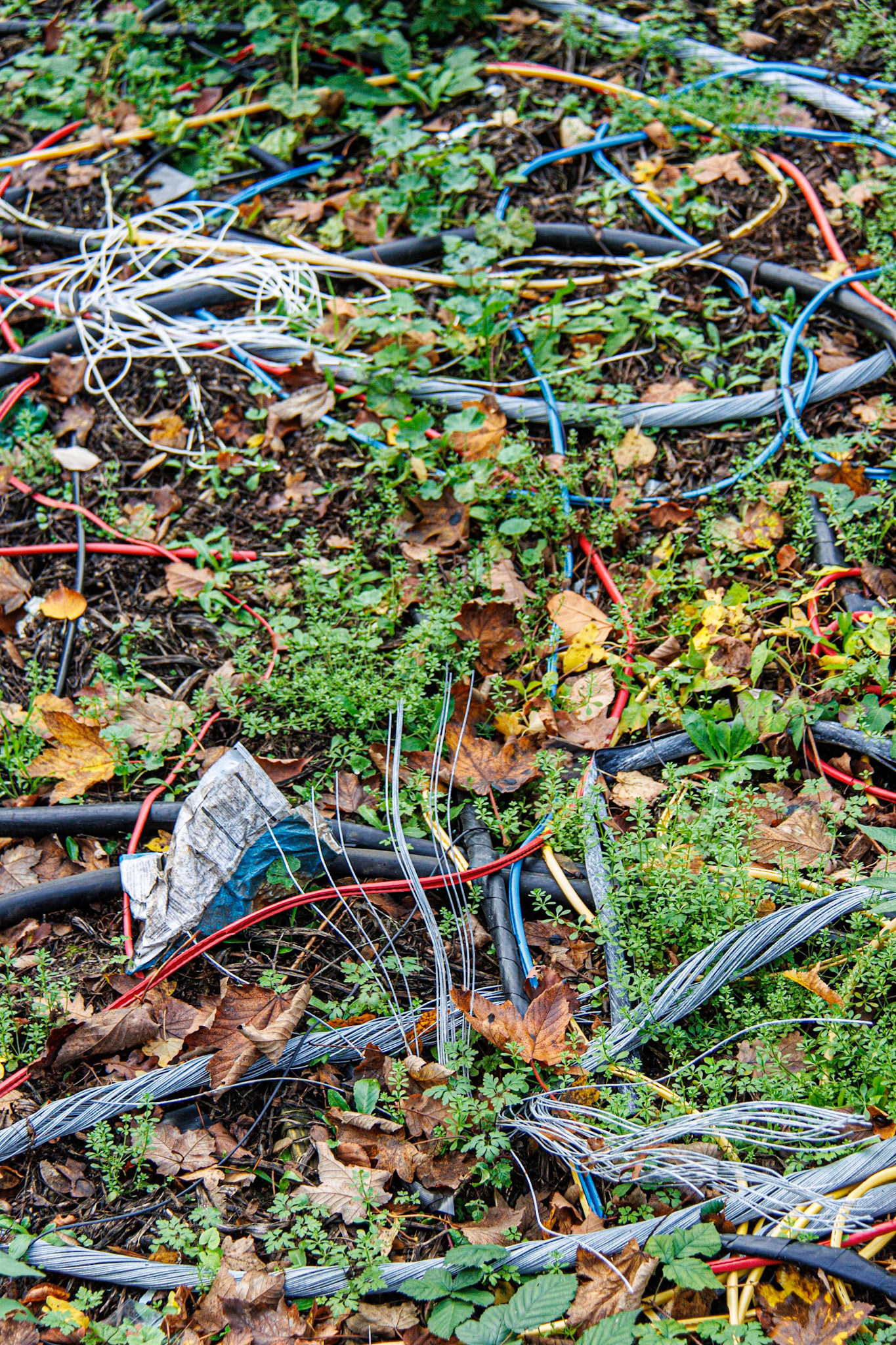 Wires