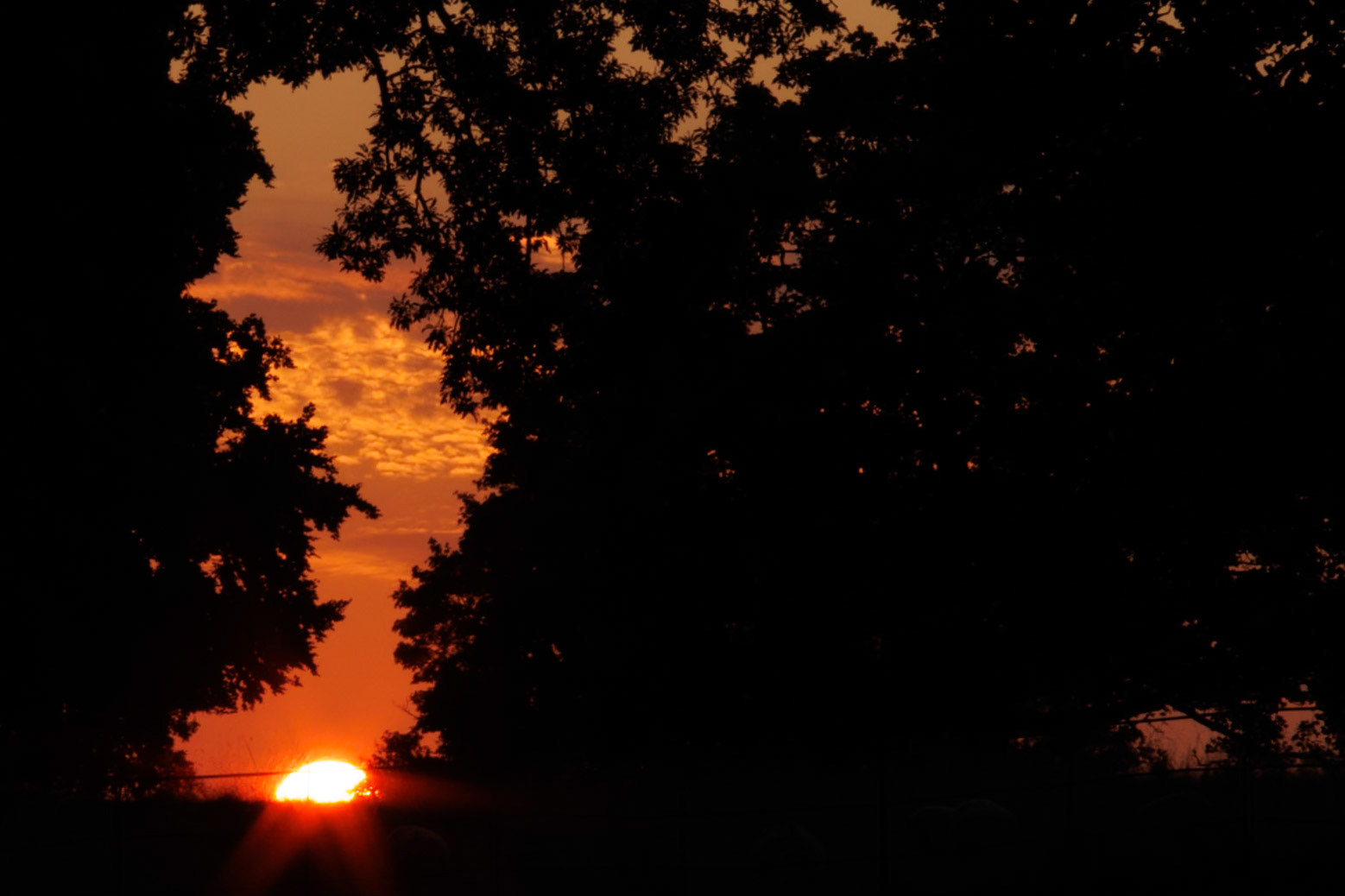 Sunset 2