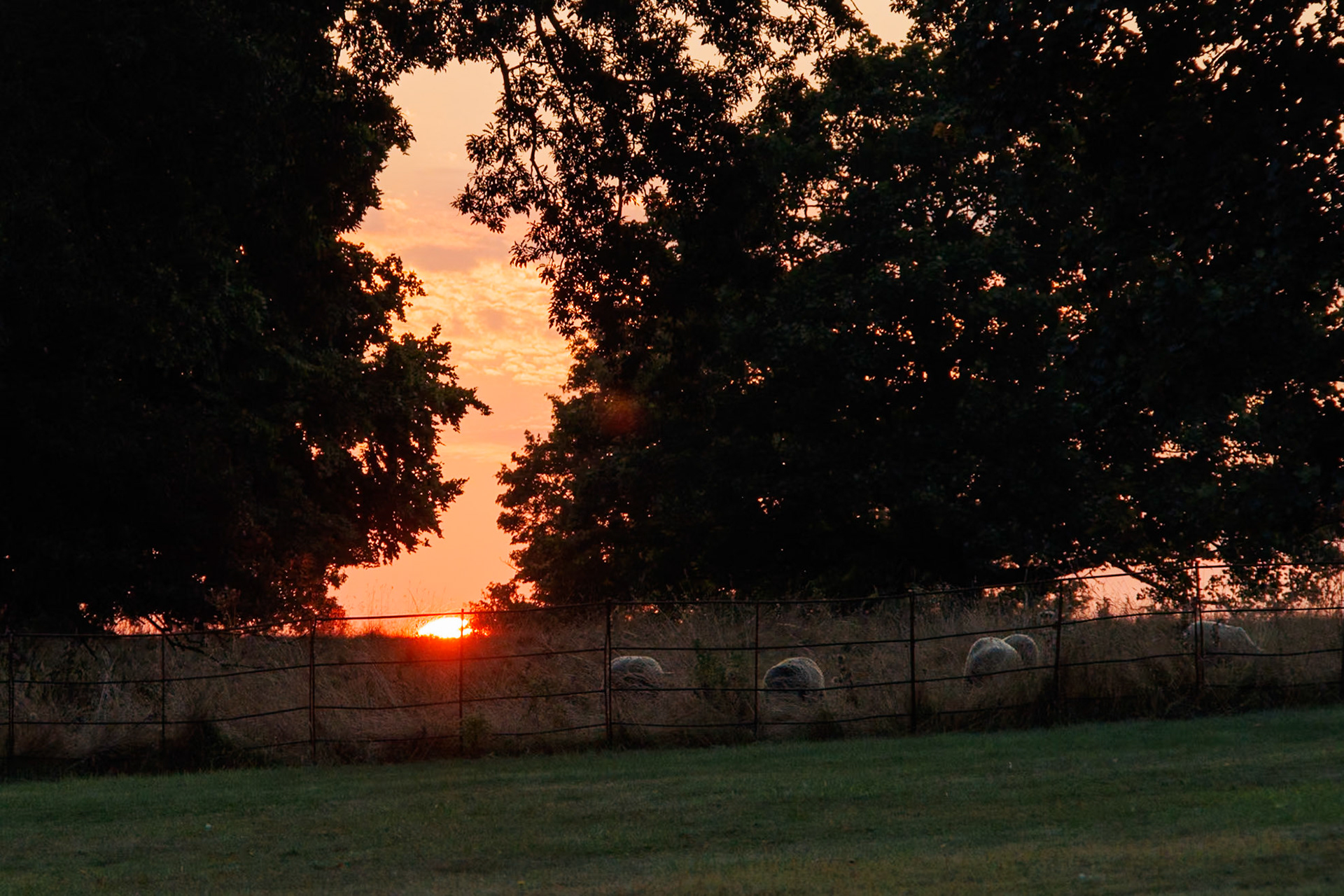Sunset 3