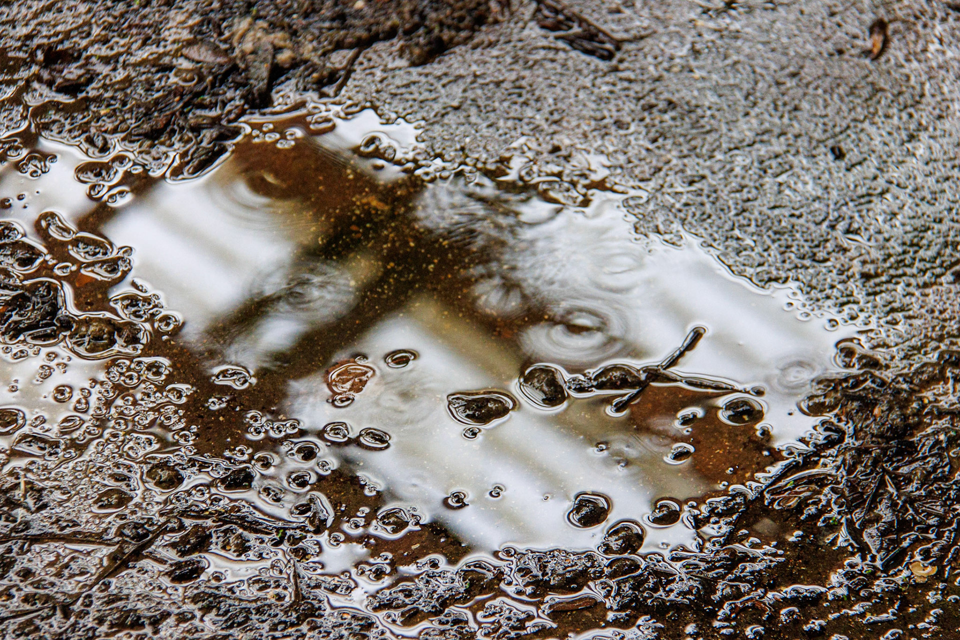 Puddle