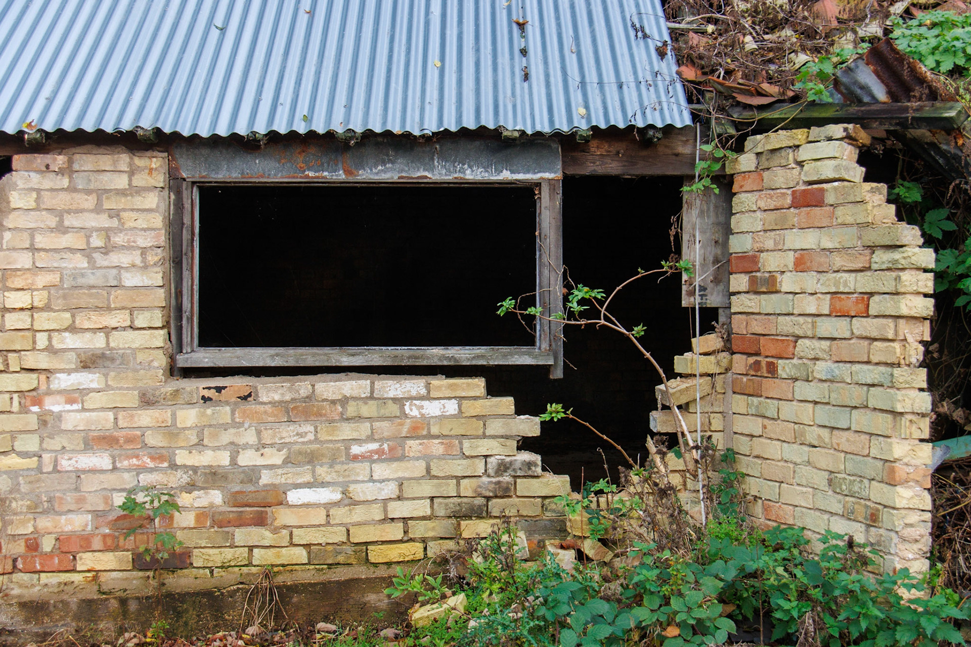 Fallen Wall