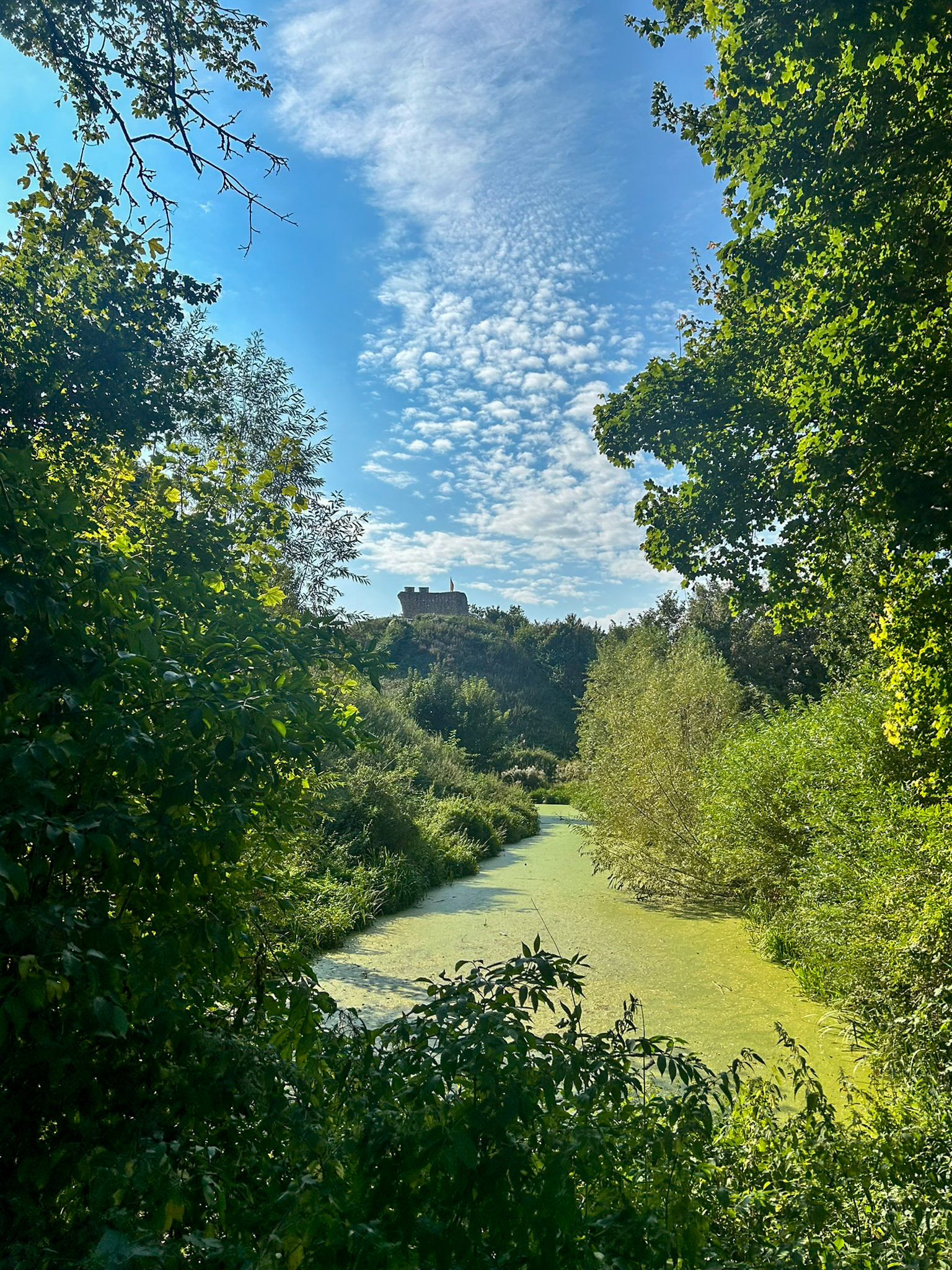Clare Castle Moat