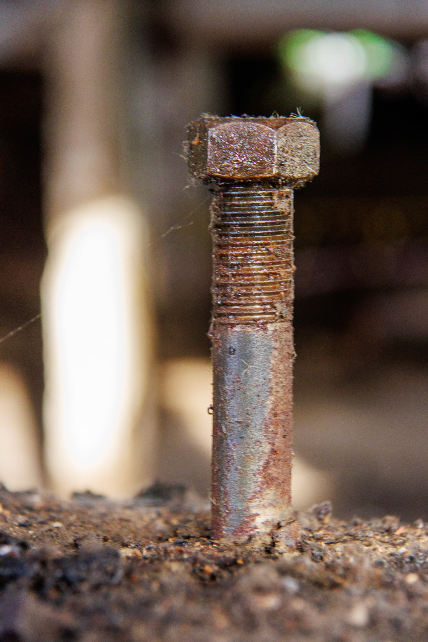 Bolt
