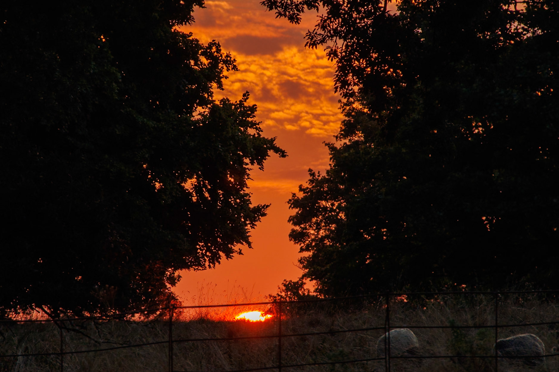 Sunset 4