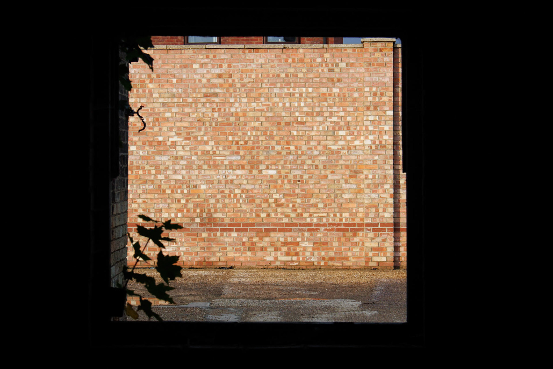 Bricks