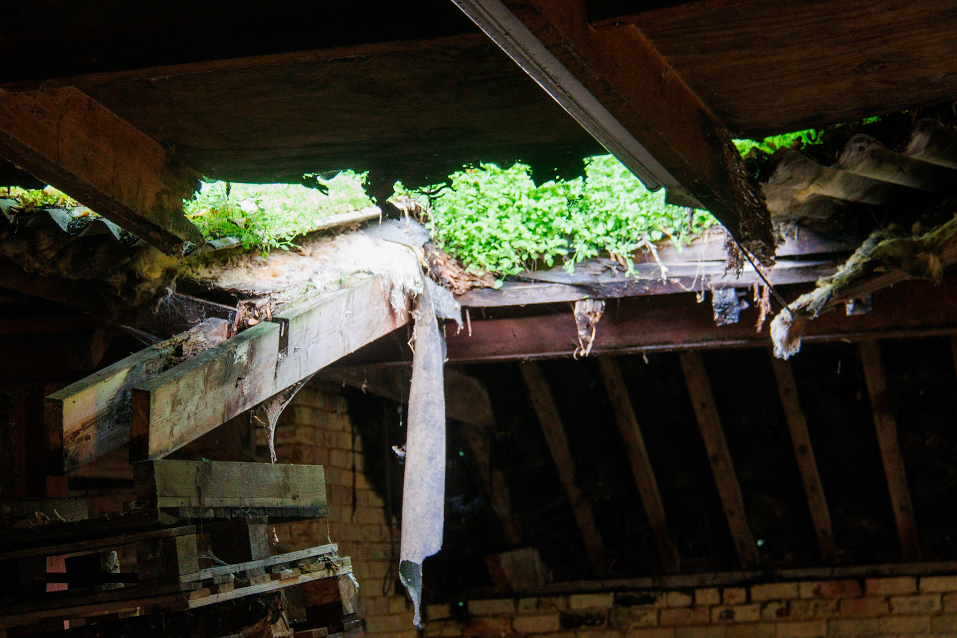 Roof