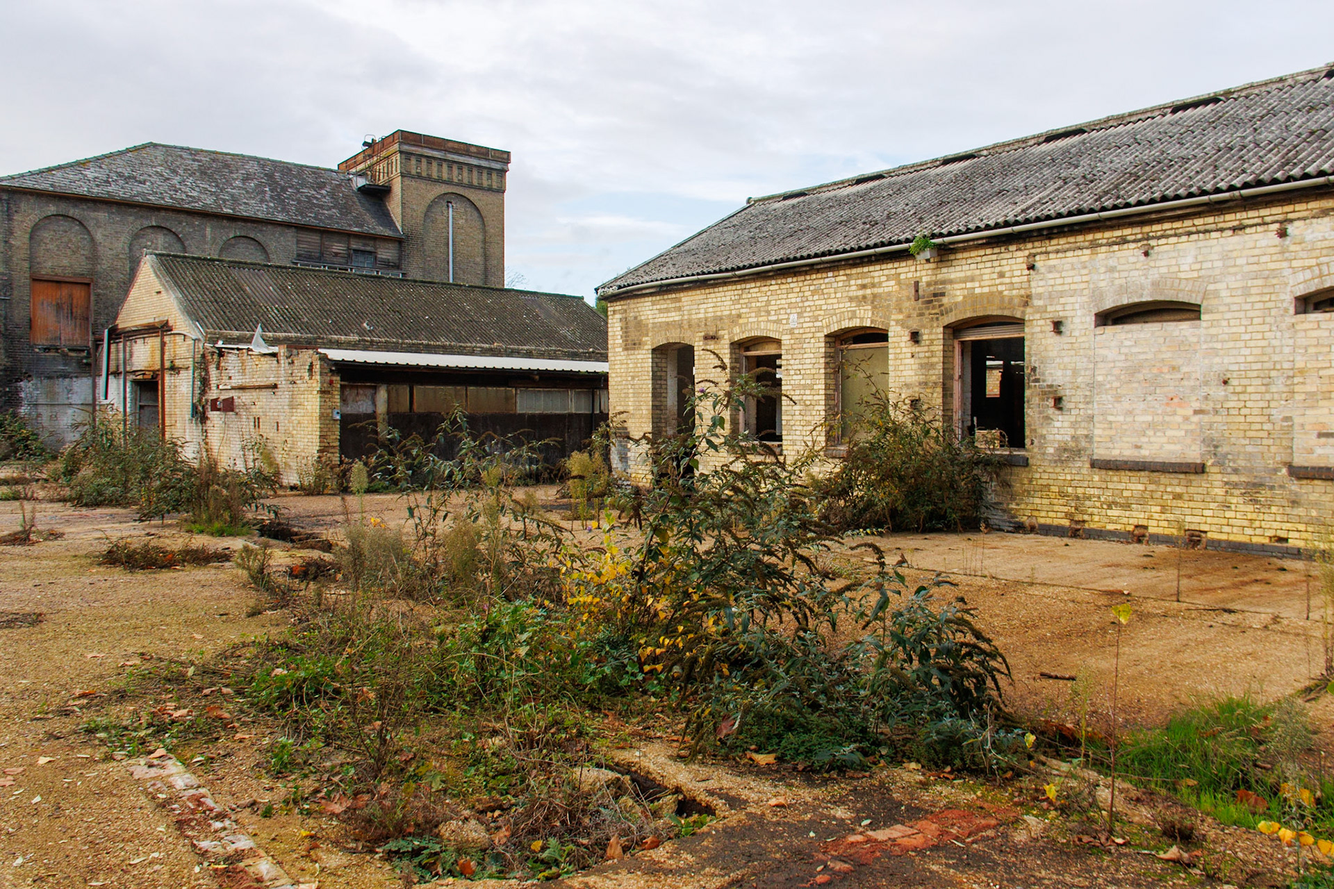 Yard