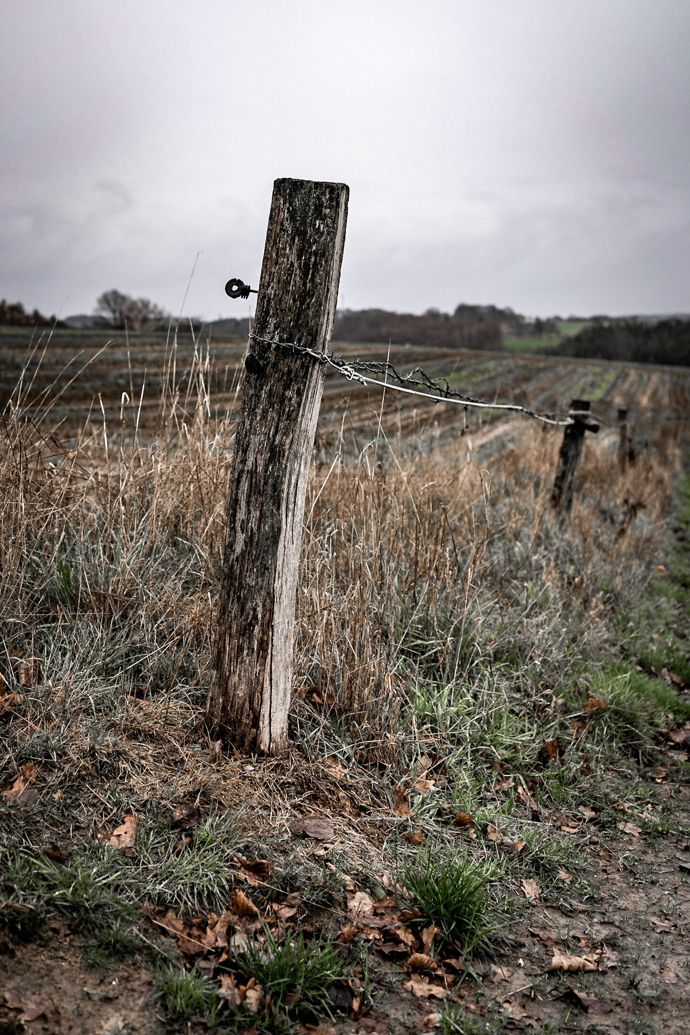 Mystisches Bergisches Land