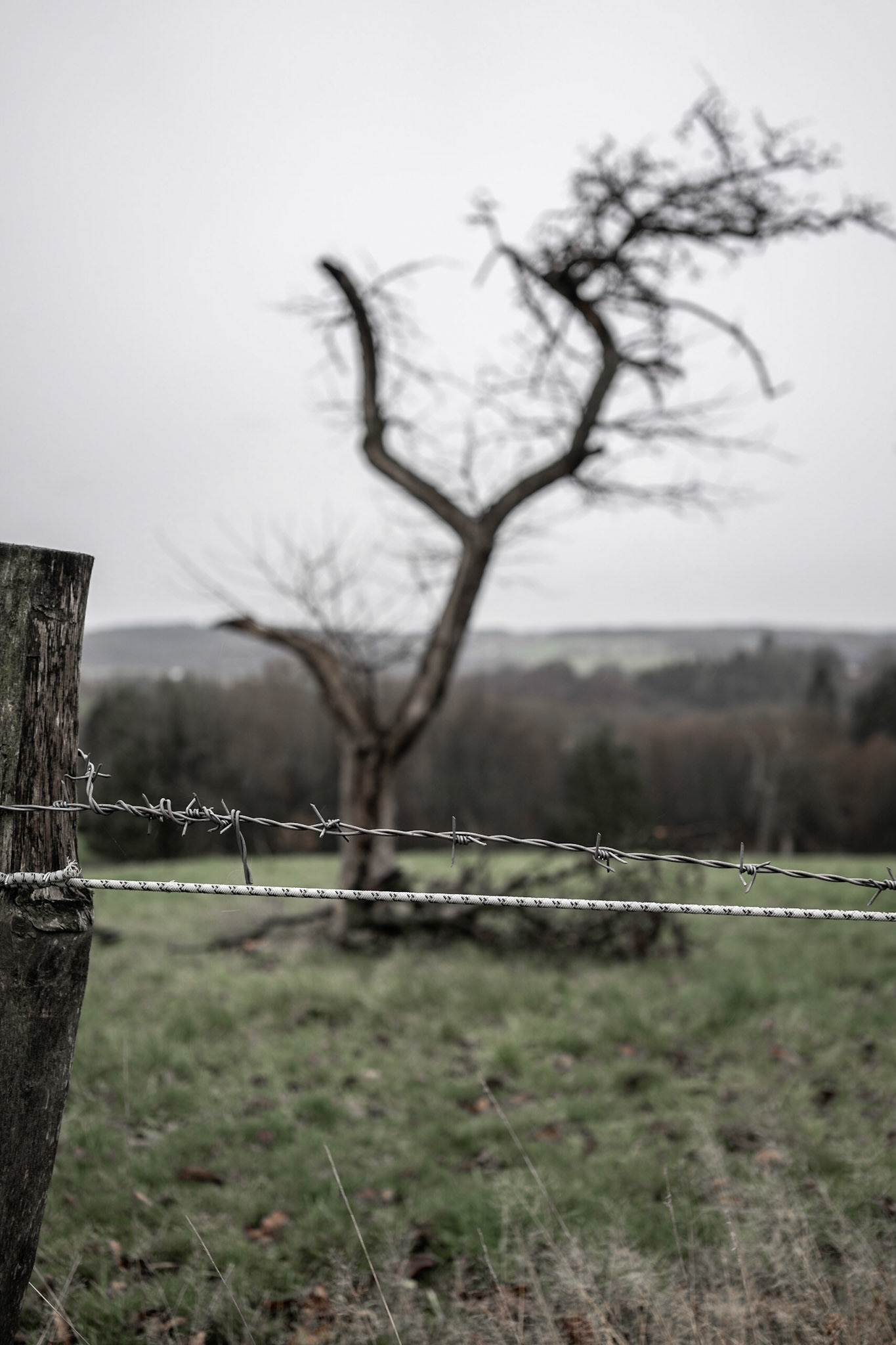 Mystisches Bergisches Land