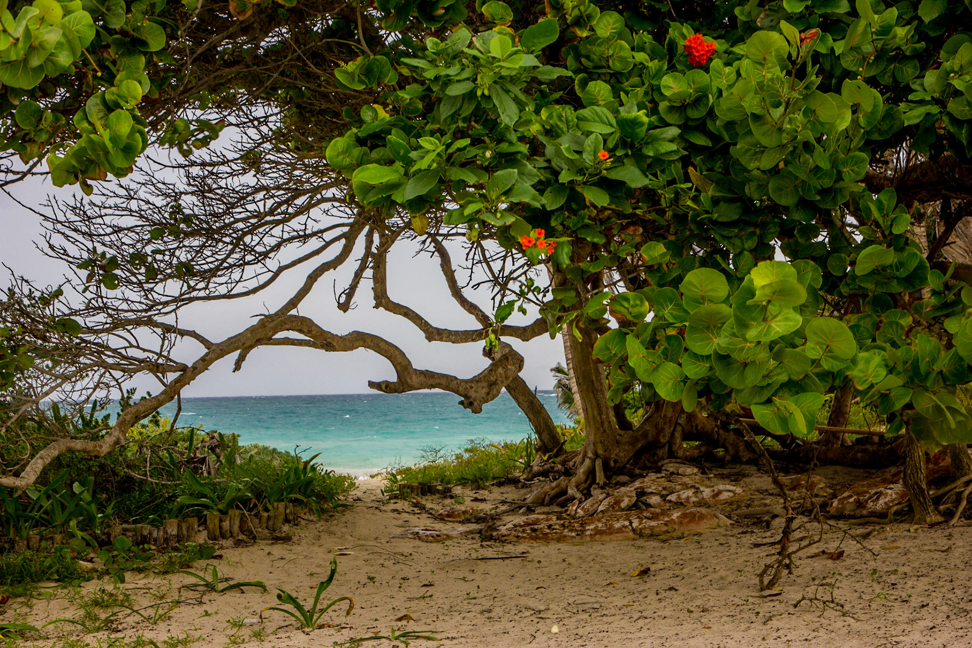 Travel photography