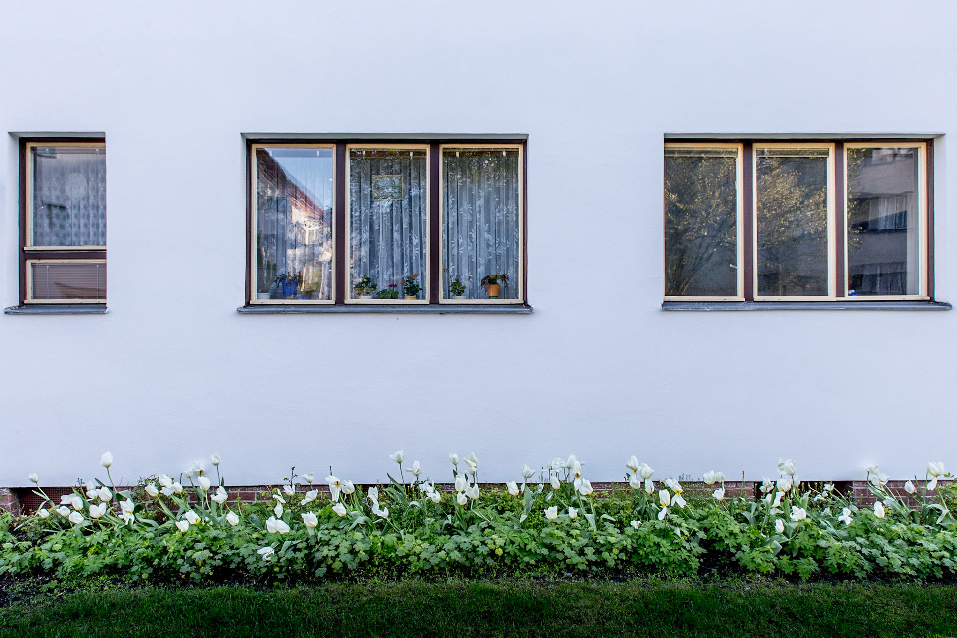 UNESCO Kulturerbe "Weiße Stadt" -Reinickendorf - Berlin