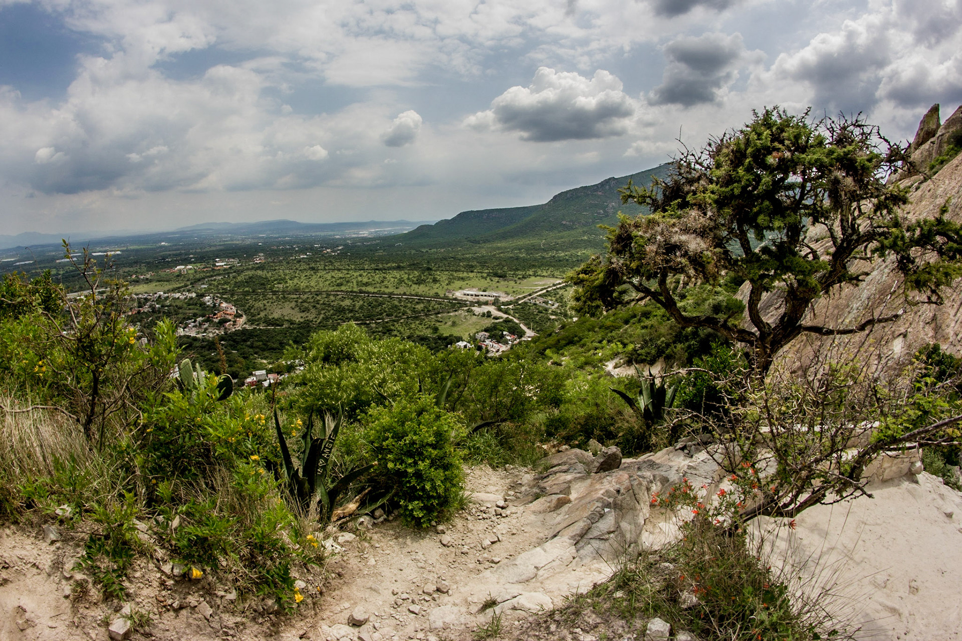 Peña de Bernal - Queretaro - Mexico
