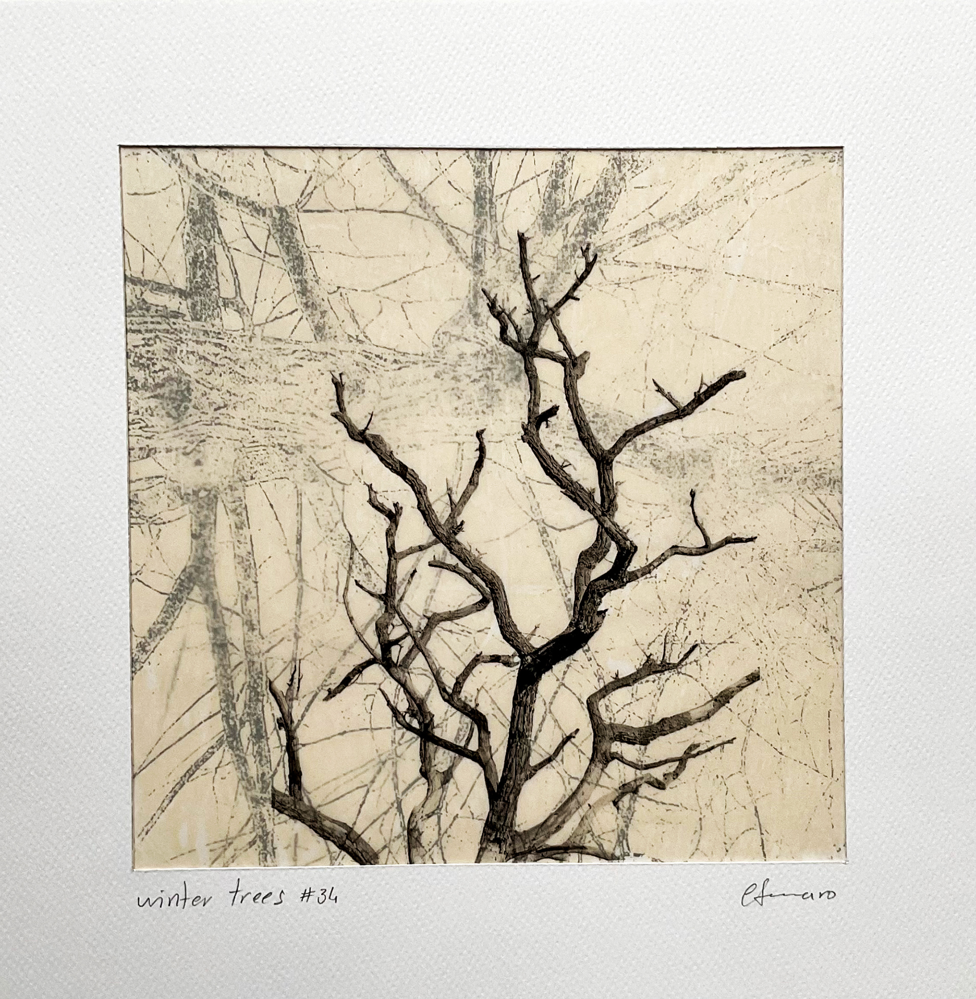 24x24 cm