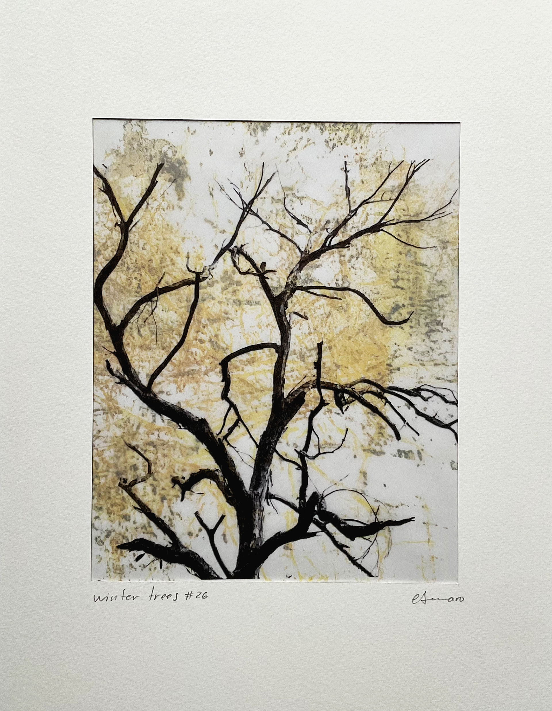 32x24 cm