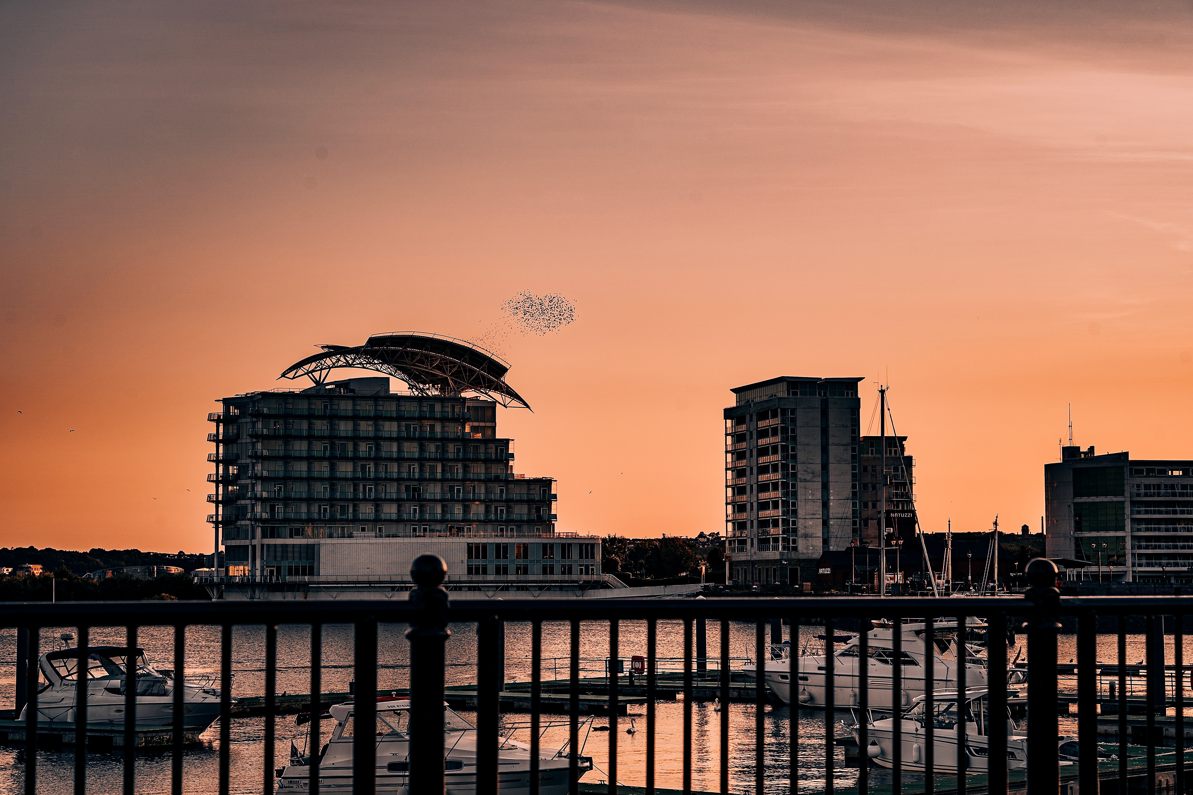 "The sign of LOVE" Cardiff 2021