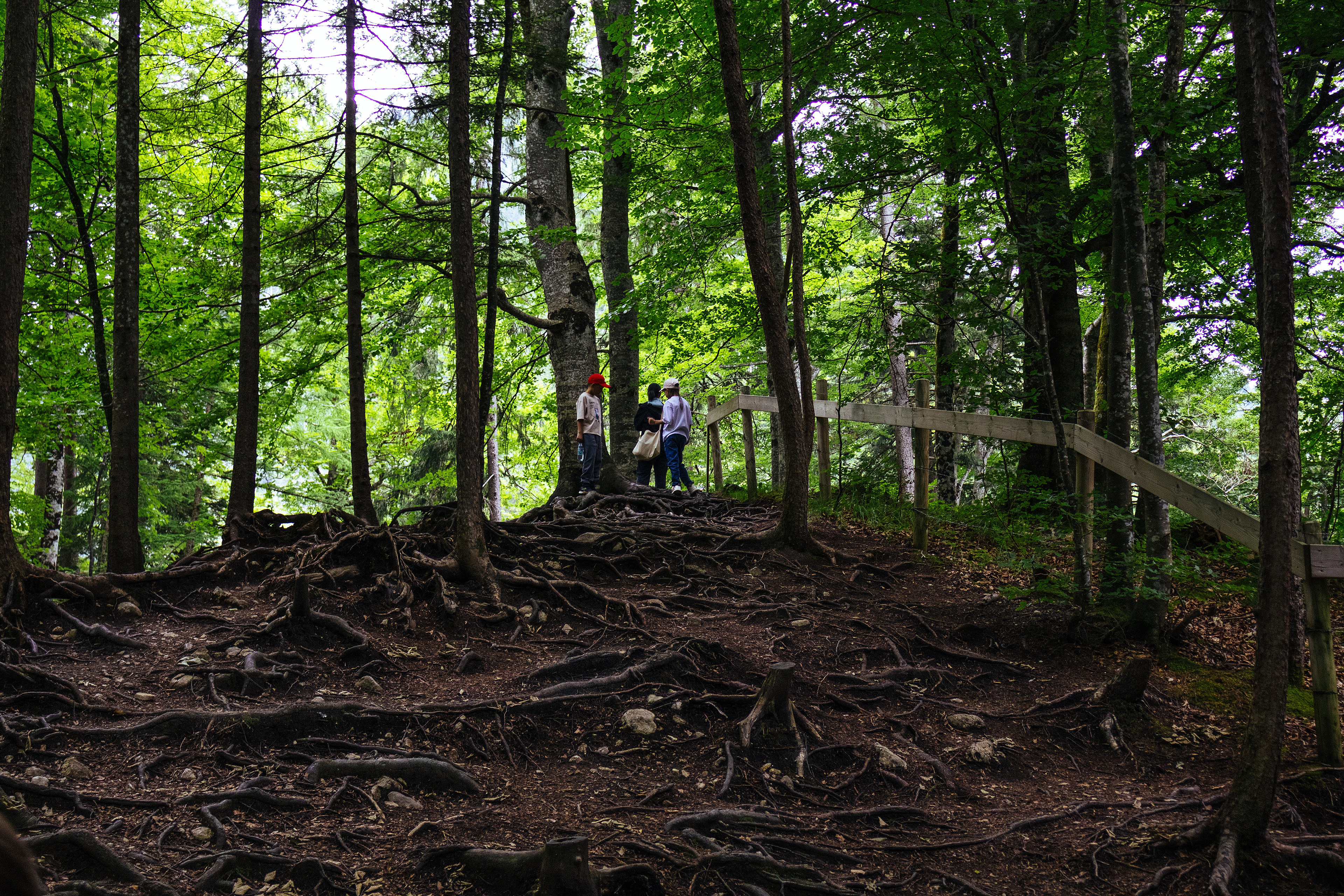 Schwangau, Germany. 2025