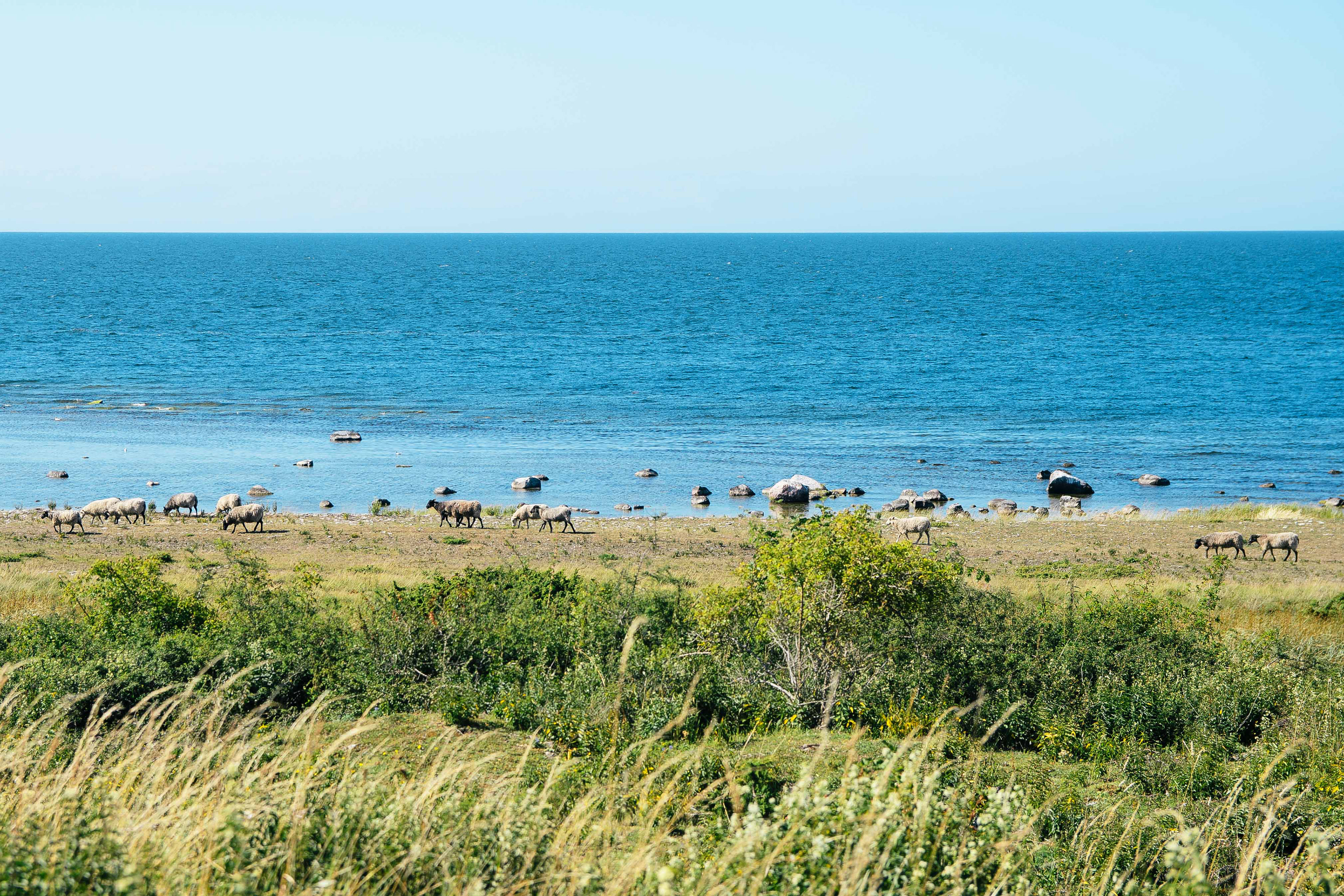 Gotland, Sweden, 2017