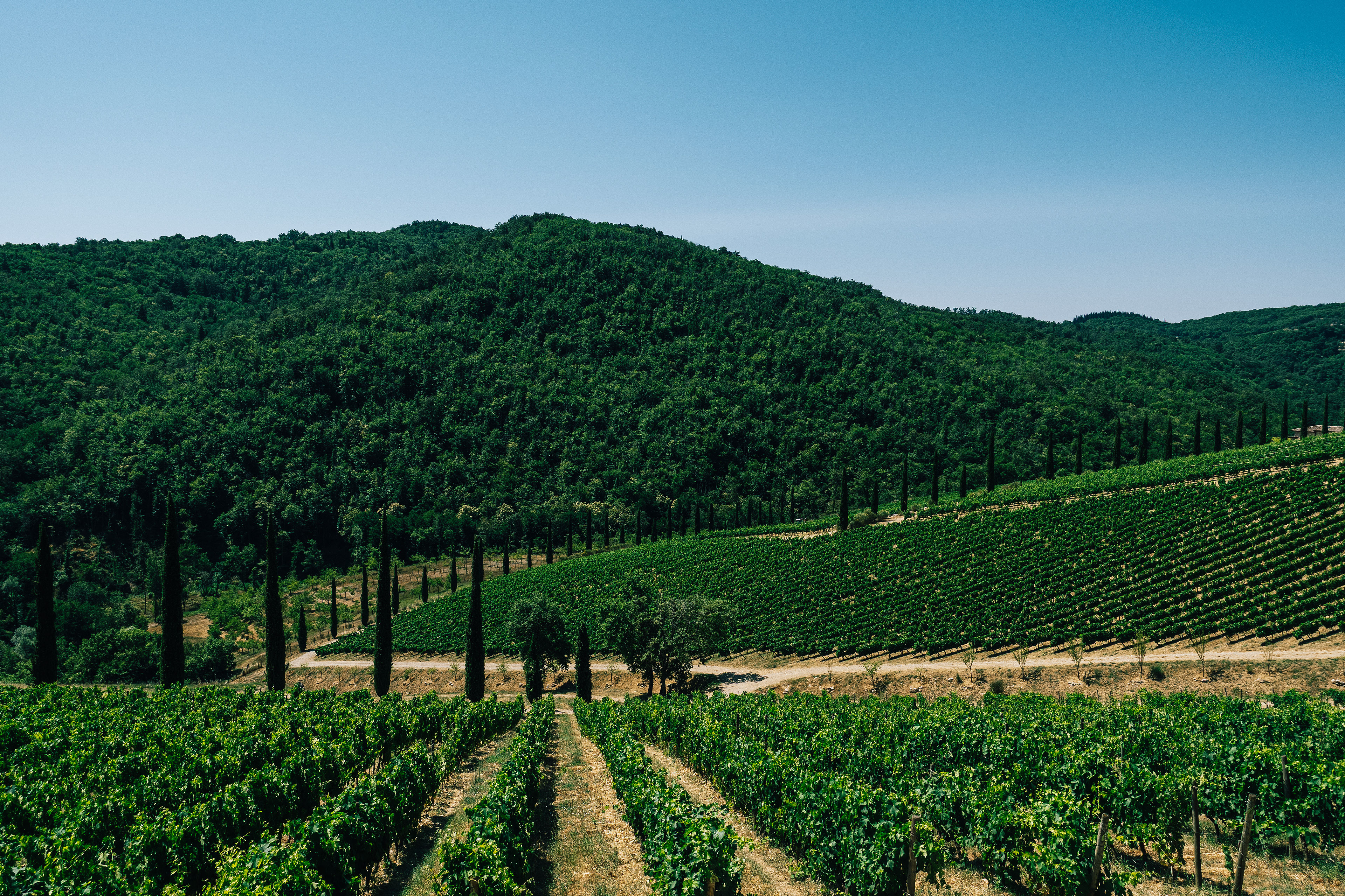 Tuscany, Italy, 2019