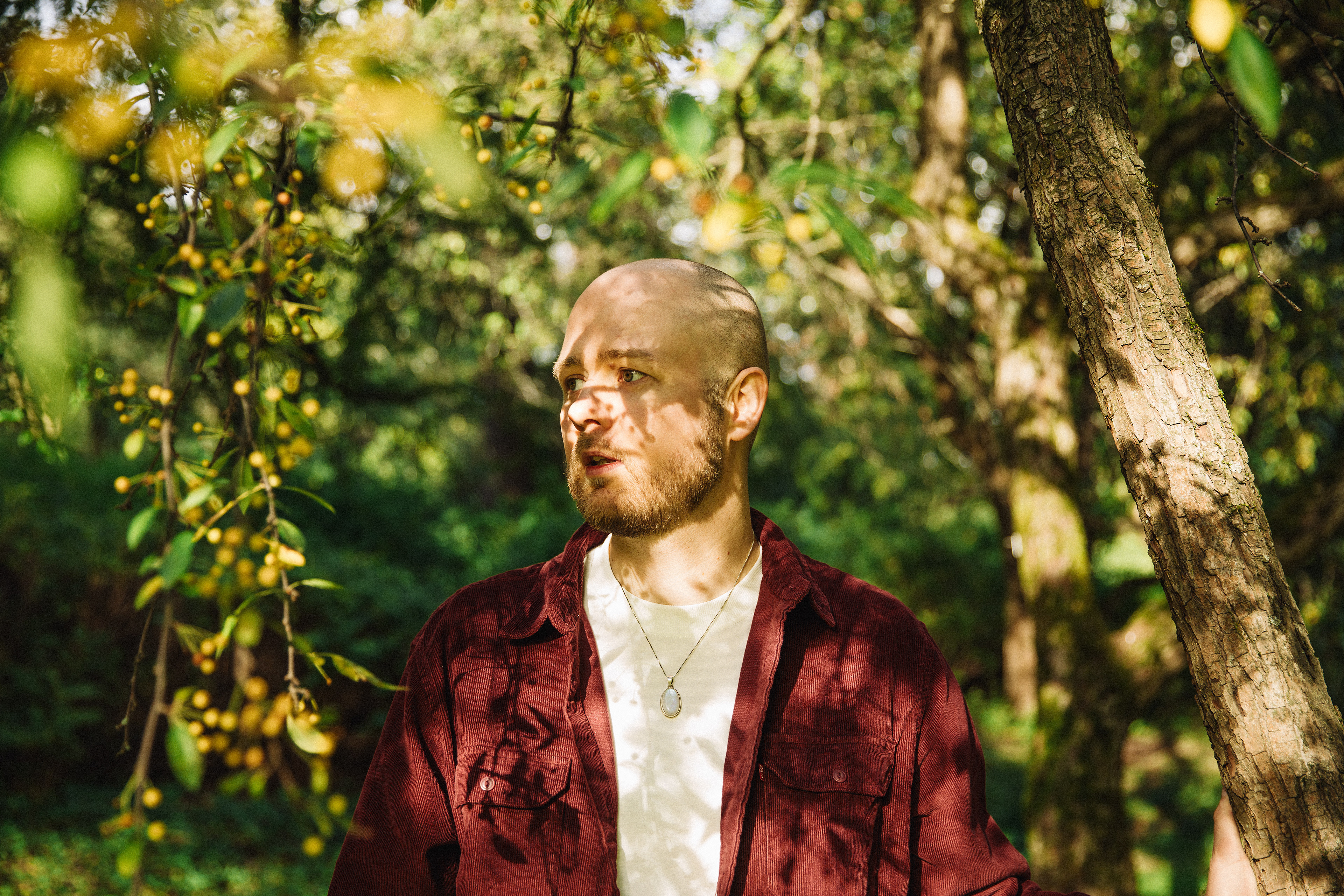 Simon Miljeteig, 2025