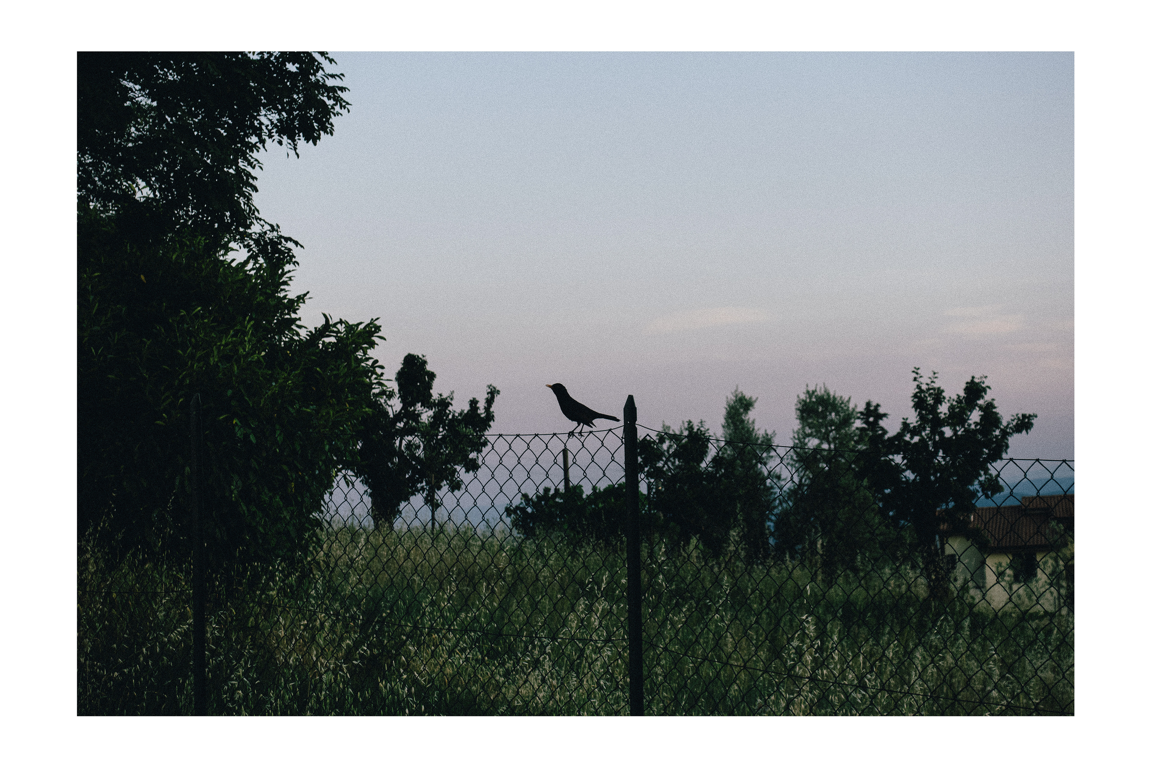 Tuscany, Italy, 2019