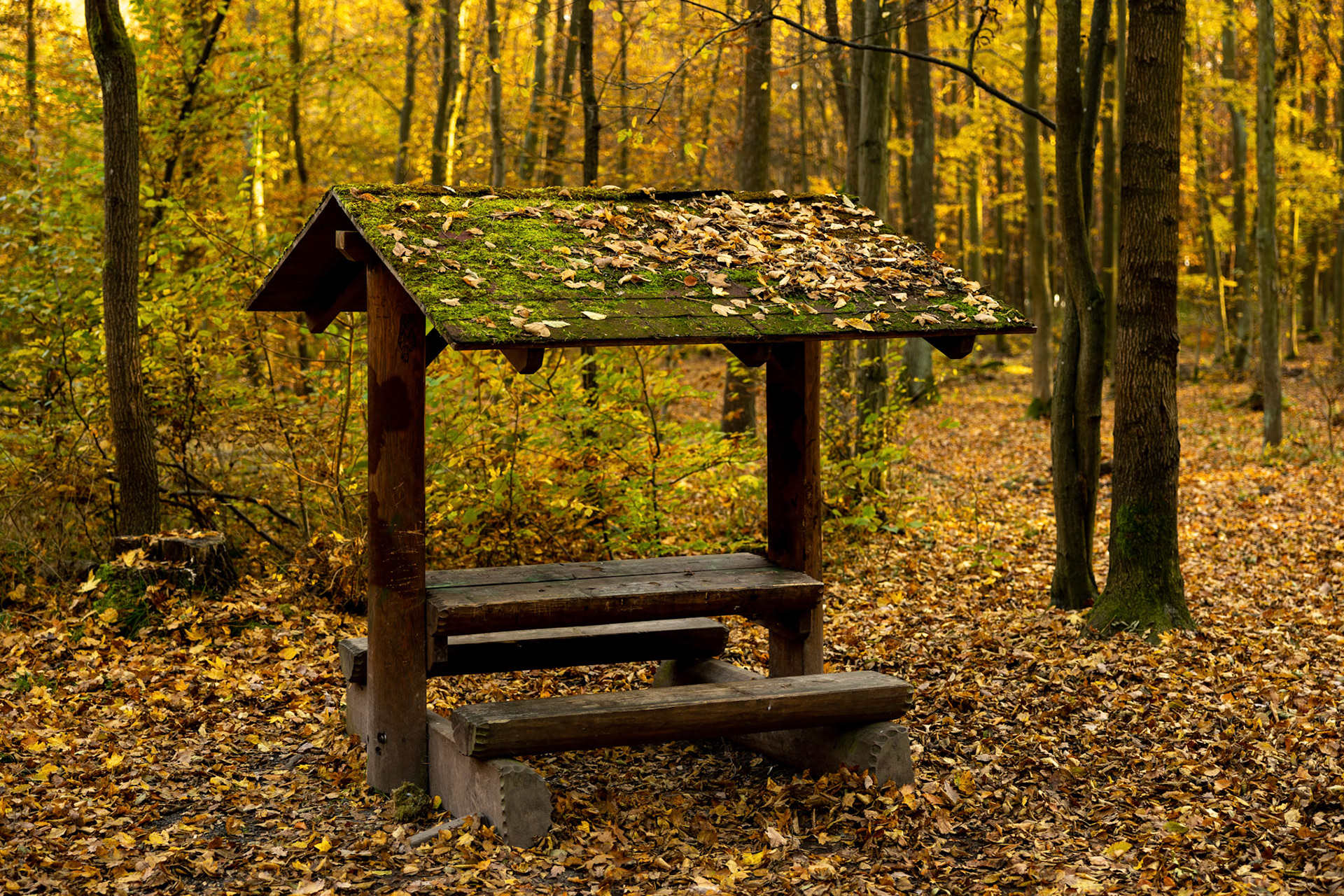 Procházka v okolí Křivoklátu - říjen 2021