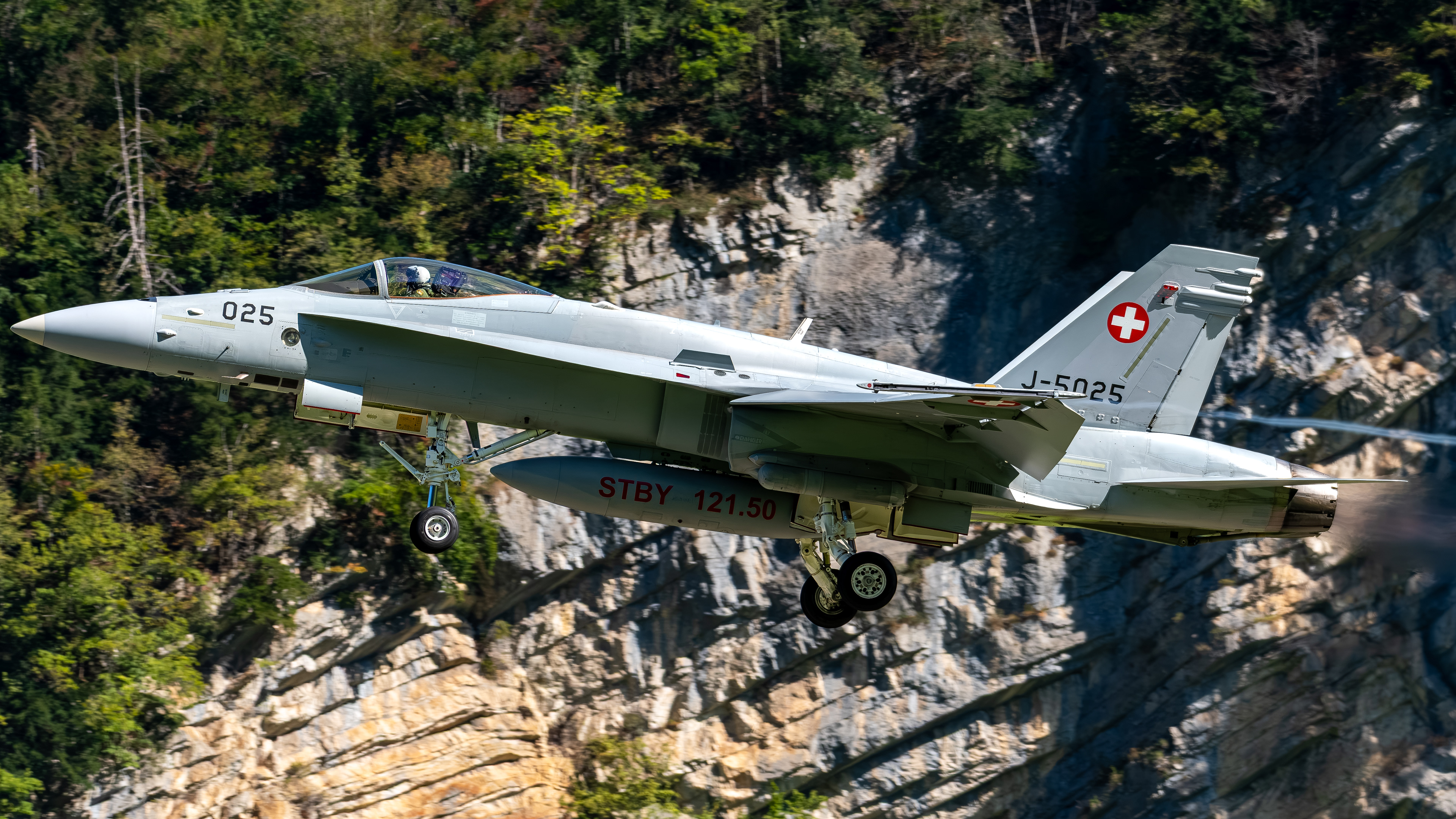 Swiss Air Force - F/A-18C Hornet - J-5025 (RAGE22)