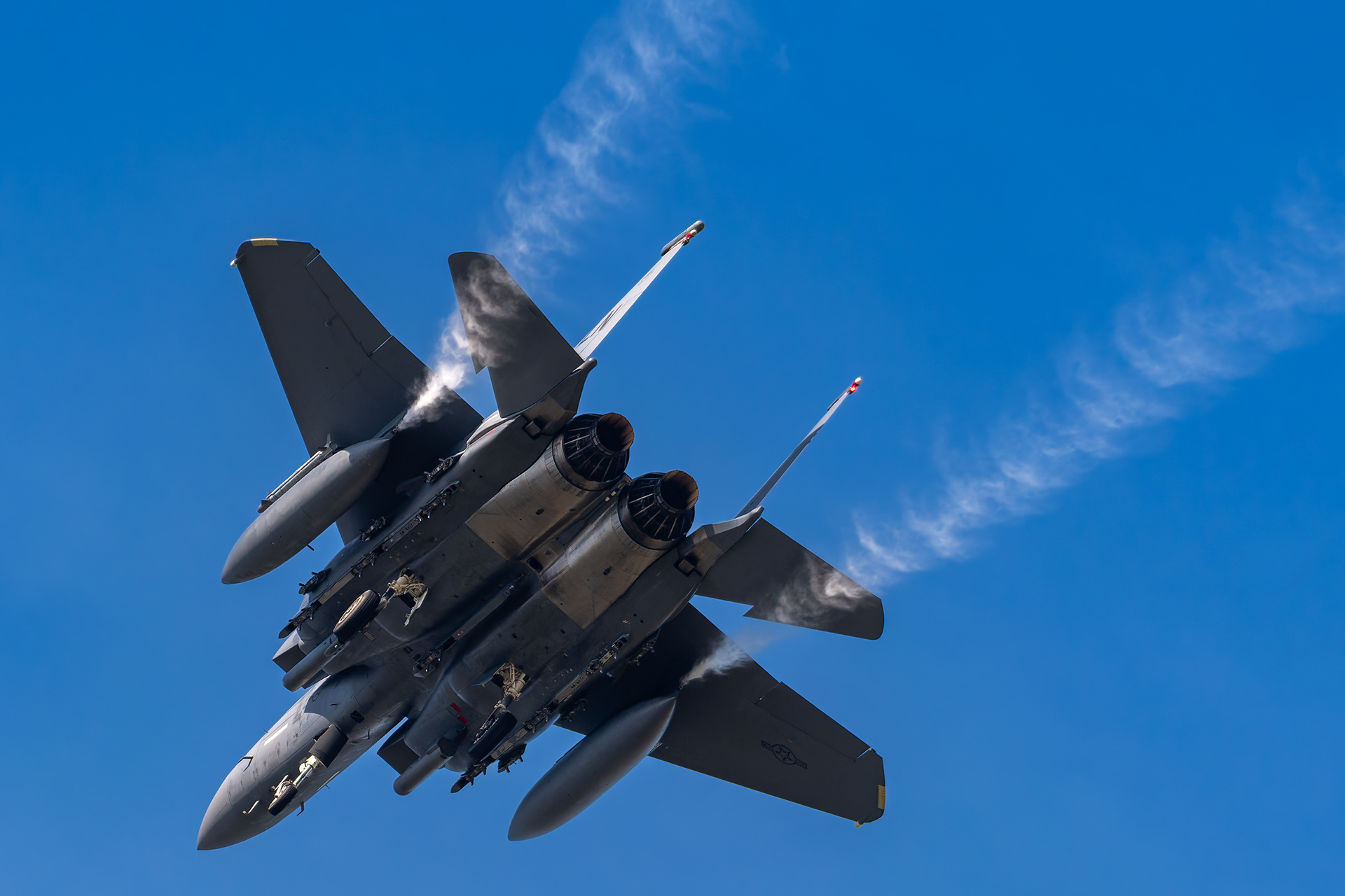 United States Air Force - F-15E Strike Eagle - 91-2003 (RESIST41)