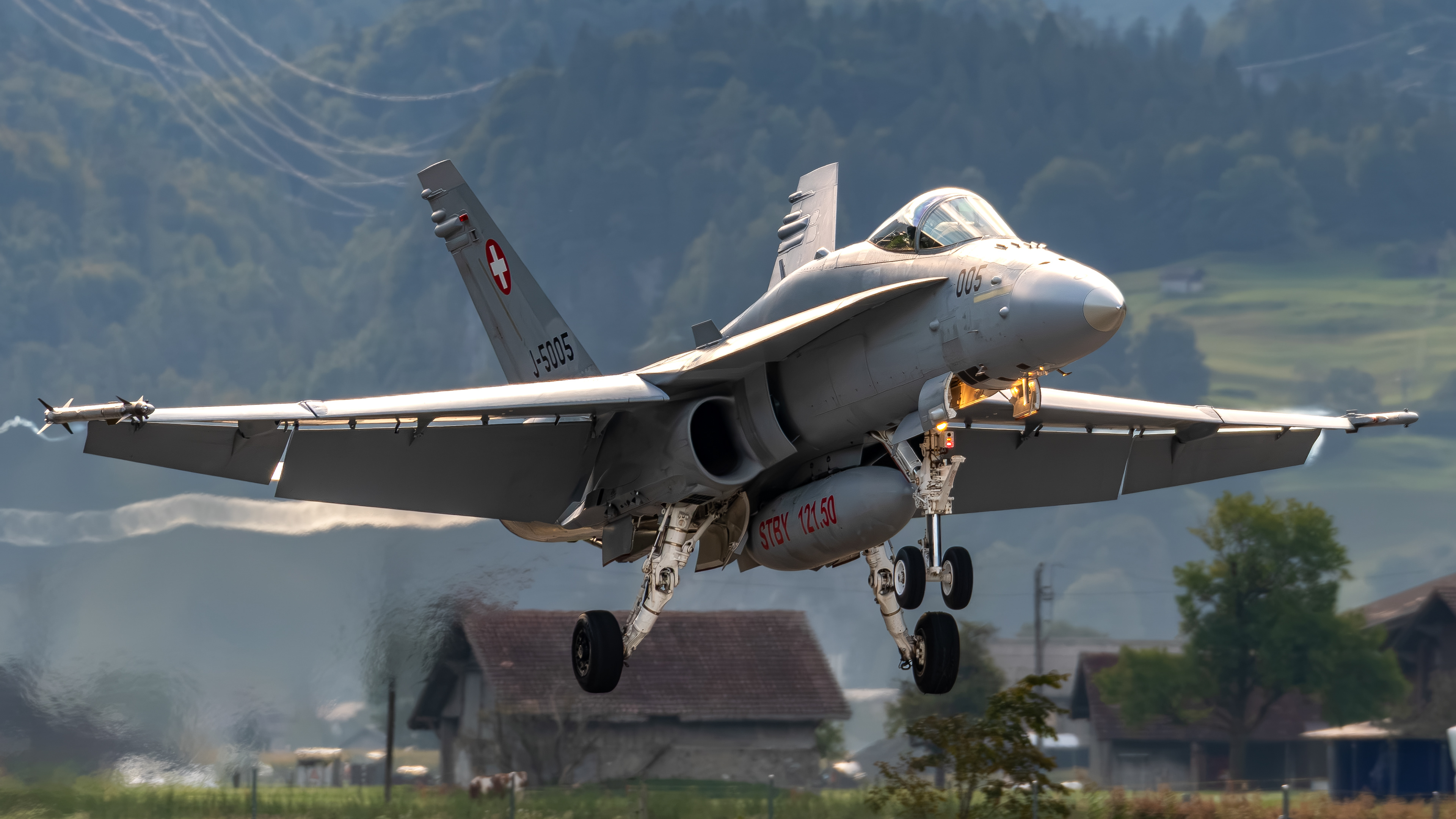 Swiss Air Force - F/A-18C Hornet - J-5005 (VIPER32)