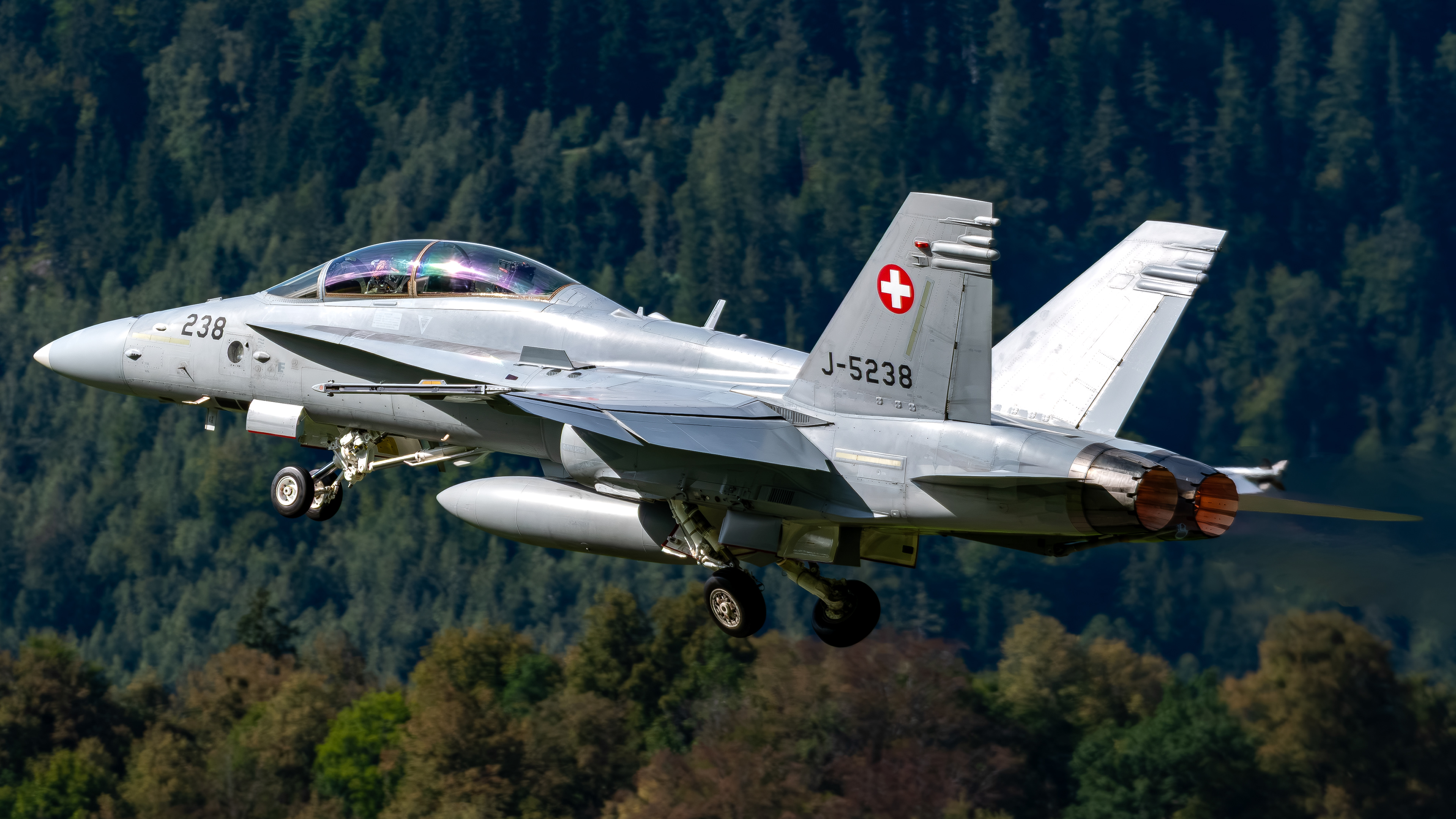 Swiss Air Force - F/A-18D Hornet - J-5238 (VIPER44)