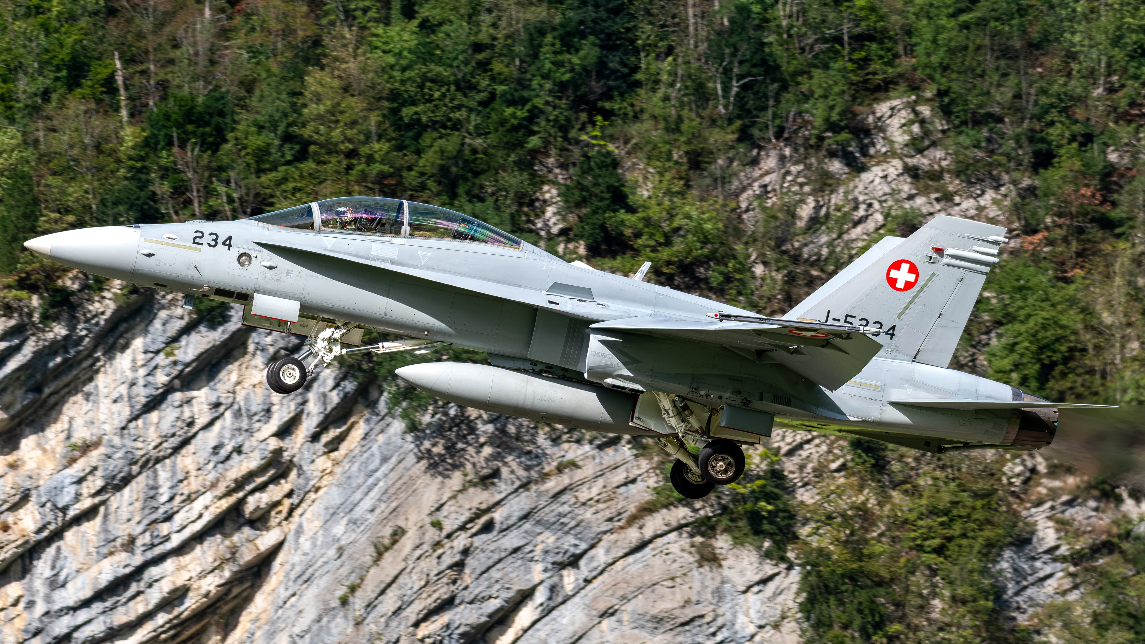 Swiss Air Force - F/A-18D Hornet - J-5234 (VIPER43)