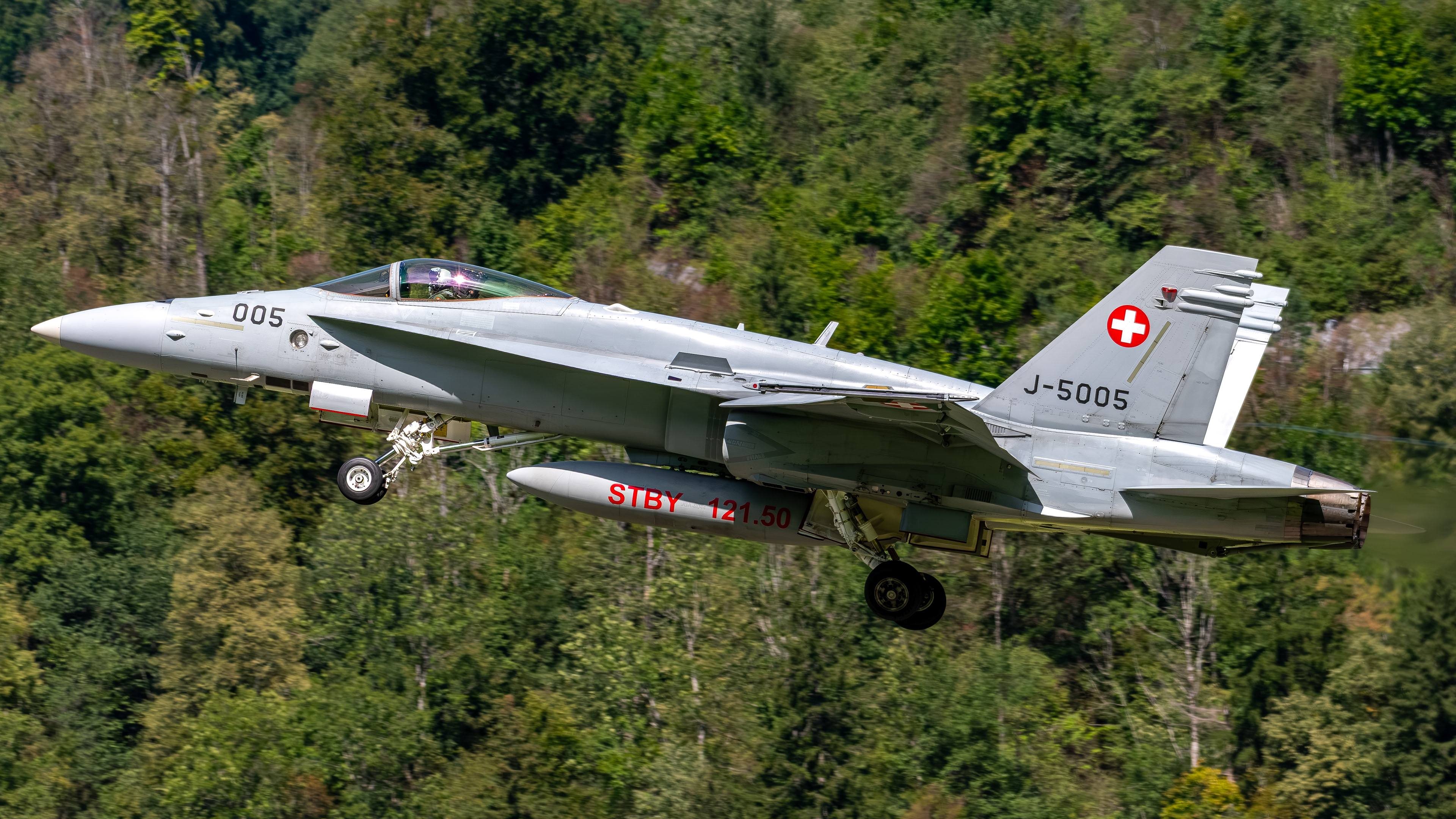 Swiss Air Force - F/A-18C Hornet - J-5005 (BEAST12)
