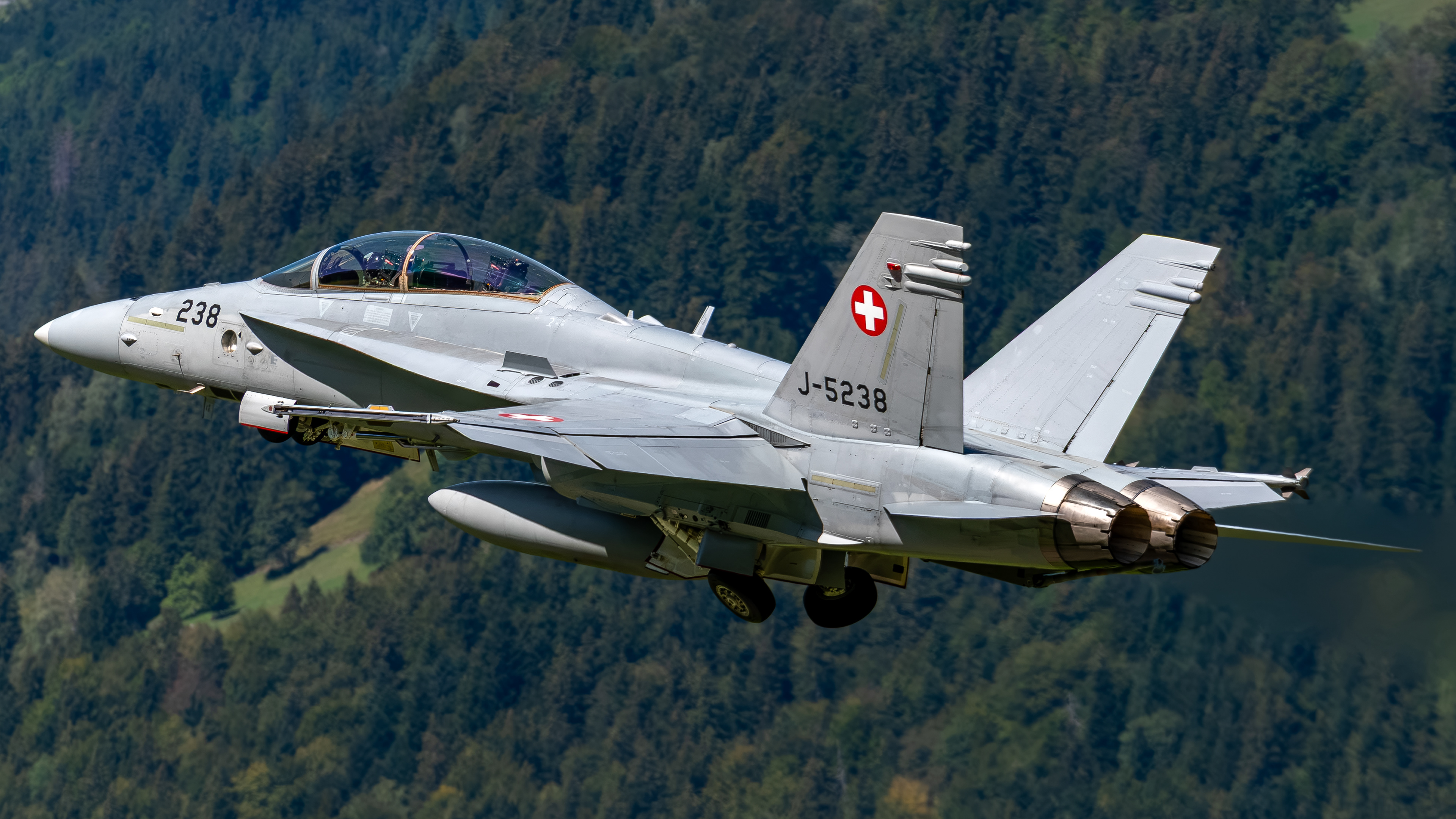 Swiss Air Force - F/A-18D Hornet - J-5238 (COPPER42)